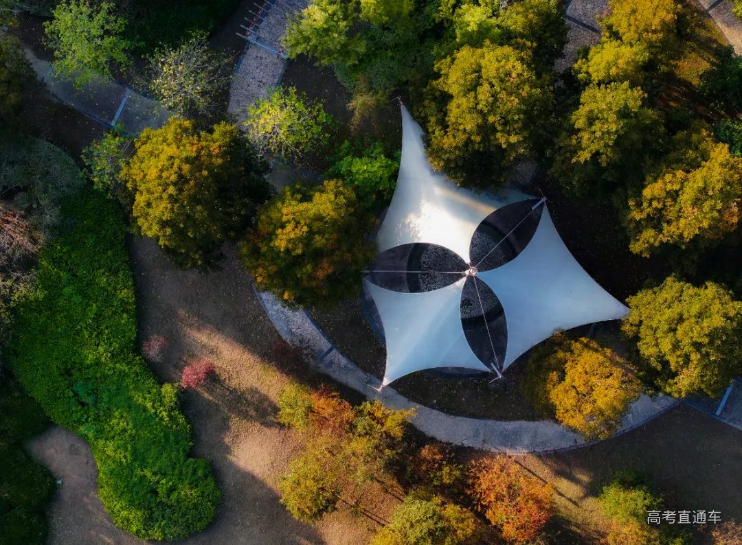 undefined 微信图片_2026-03-24_202246_498.jpg