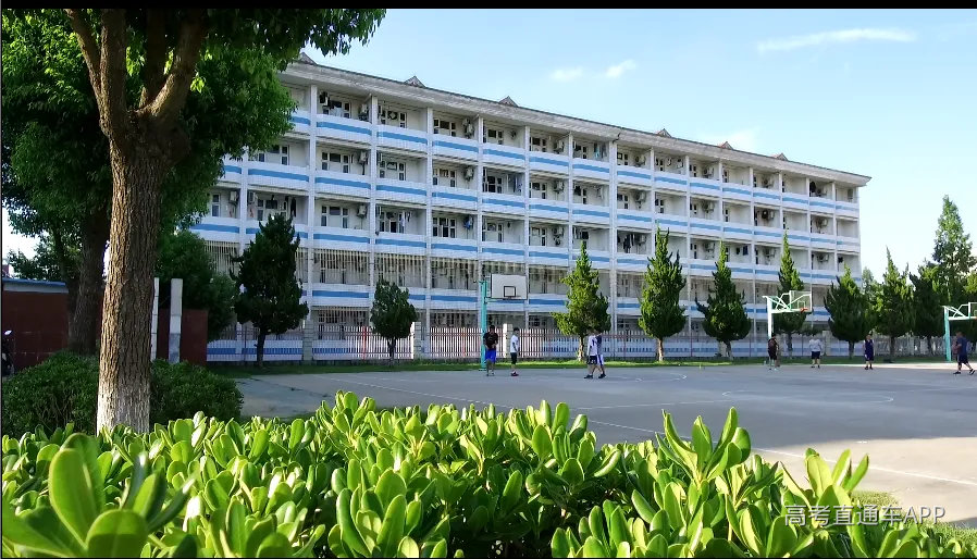 QQ图片20200310104302.png