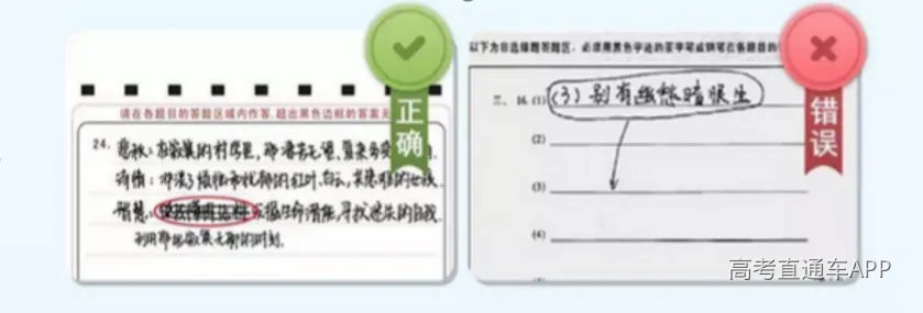 招生考试院3.png