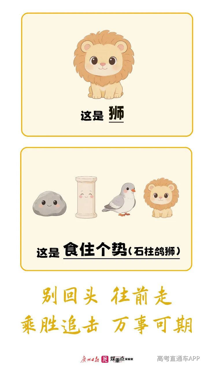 07 图片