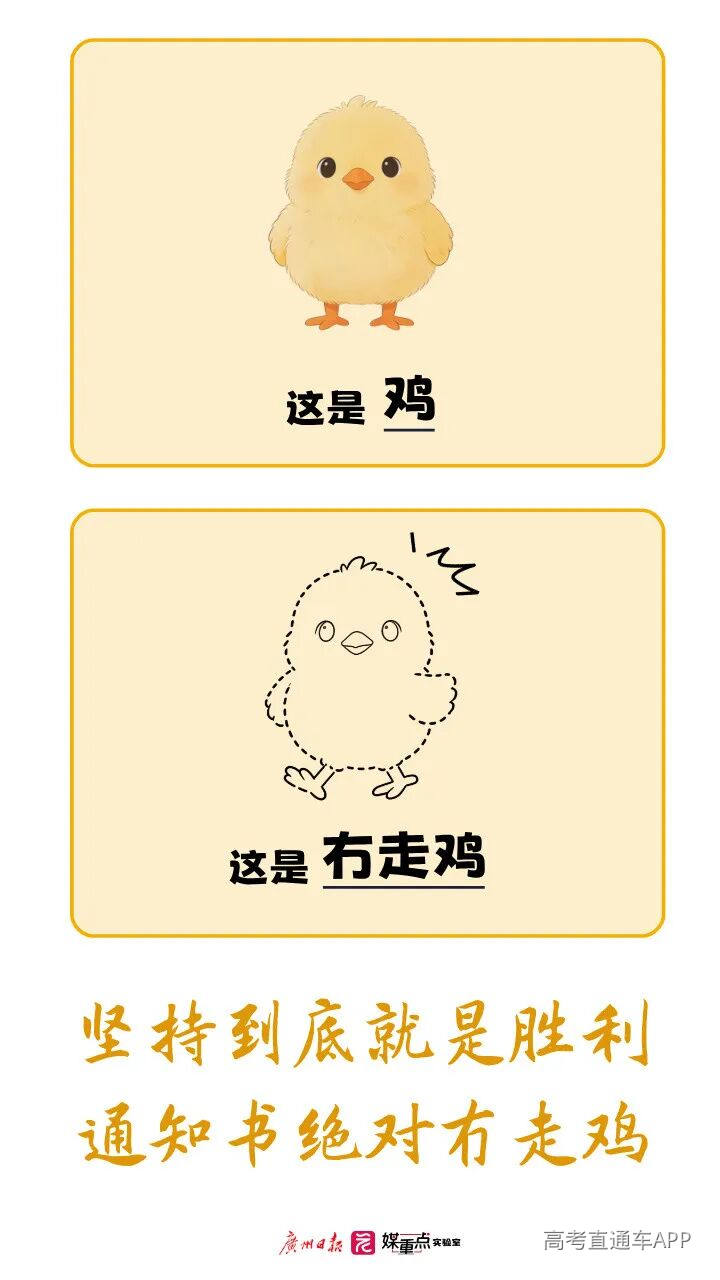 08 图片