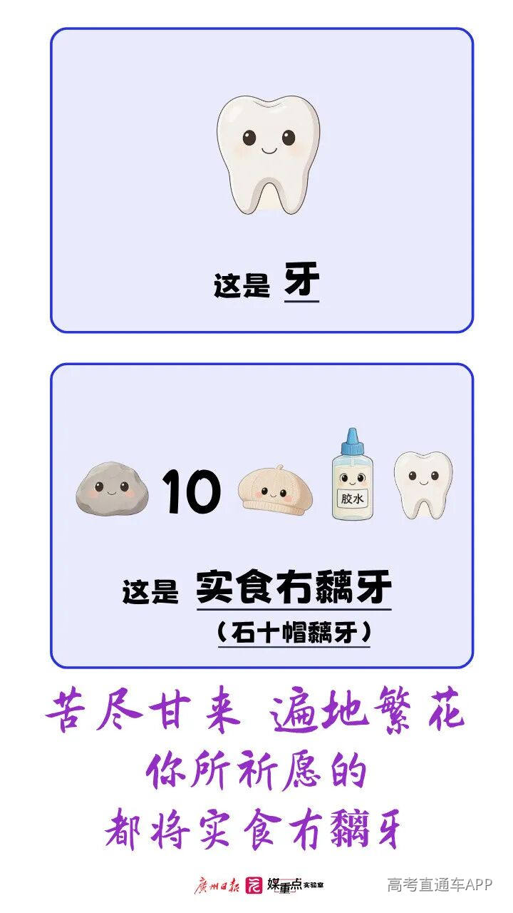 09 图片