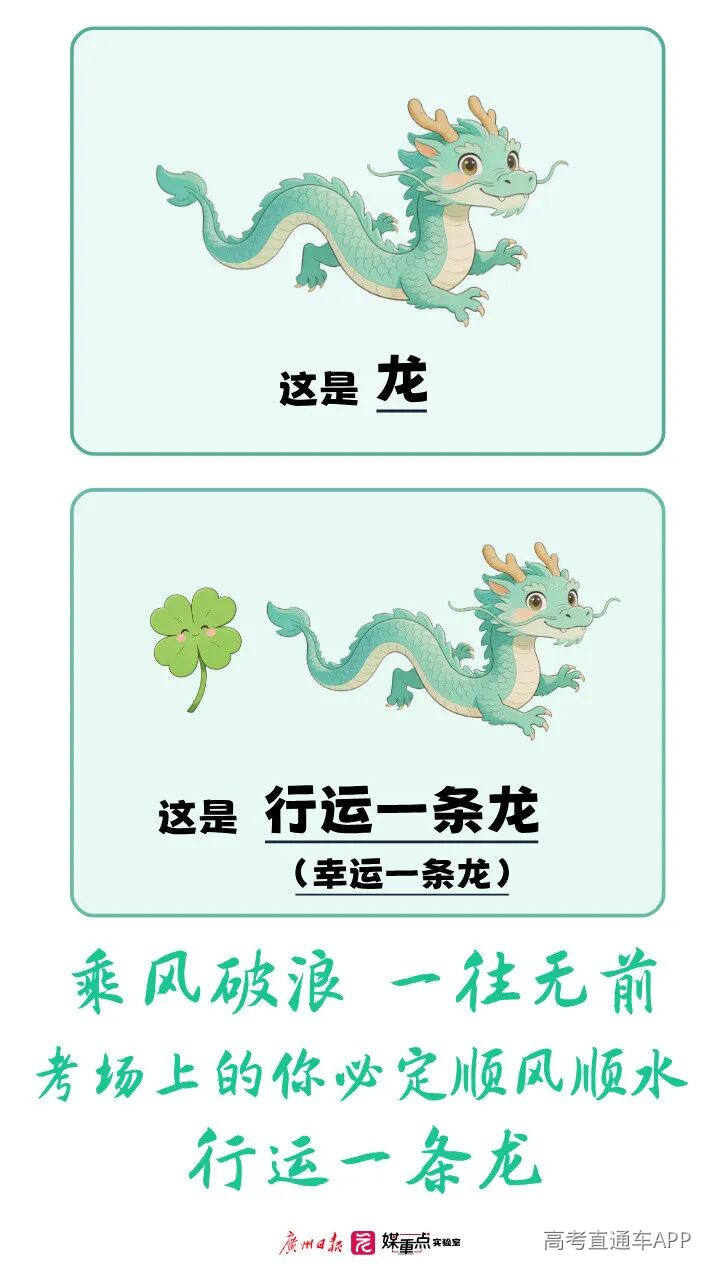 06 图片