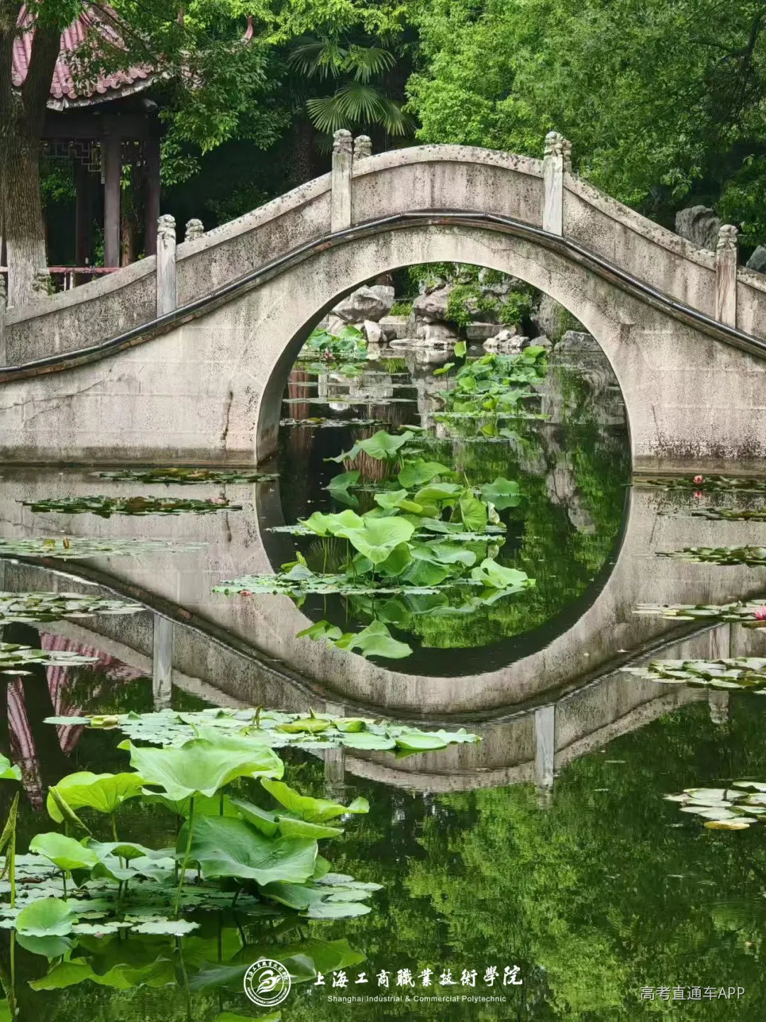 鏍″洯灏忔ˉ鍓湰.jpg