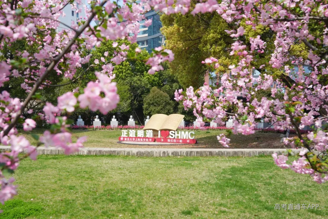 微信图片_2026-06-05_225717_009.png