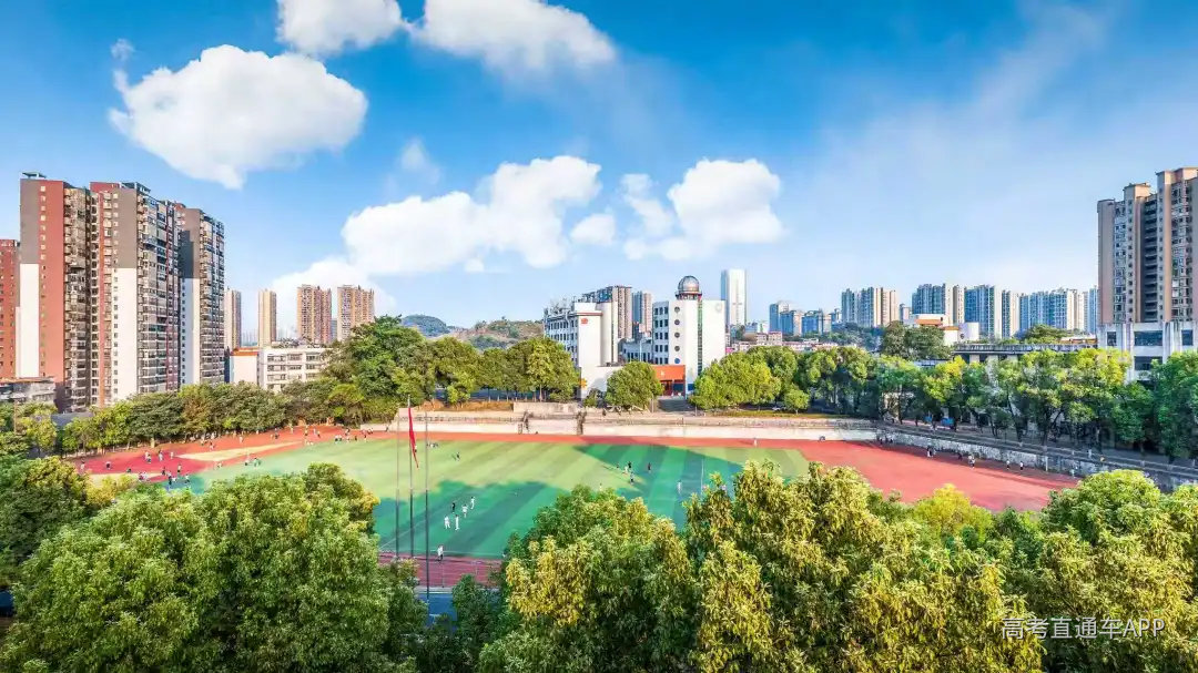 微信图片_2026-06-11_164102_357.jpg