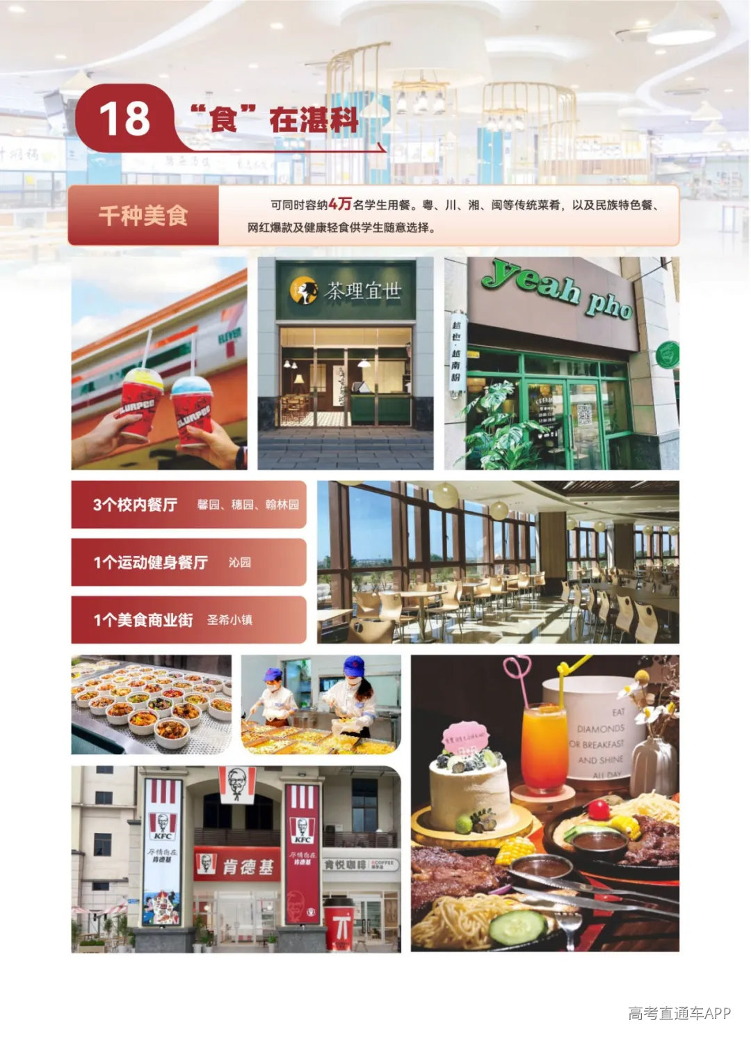 湛江科技-2026普高报考指南-单页_页面_030.jpg