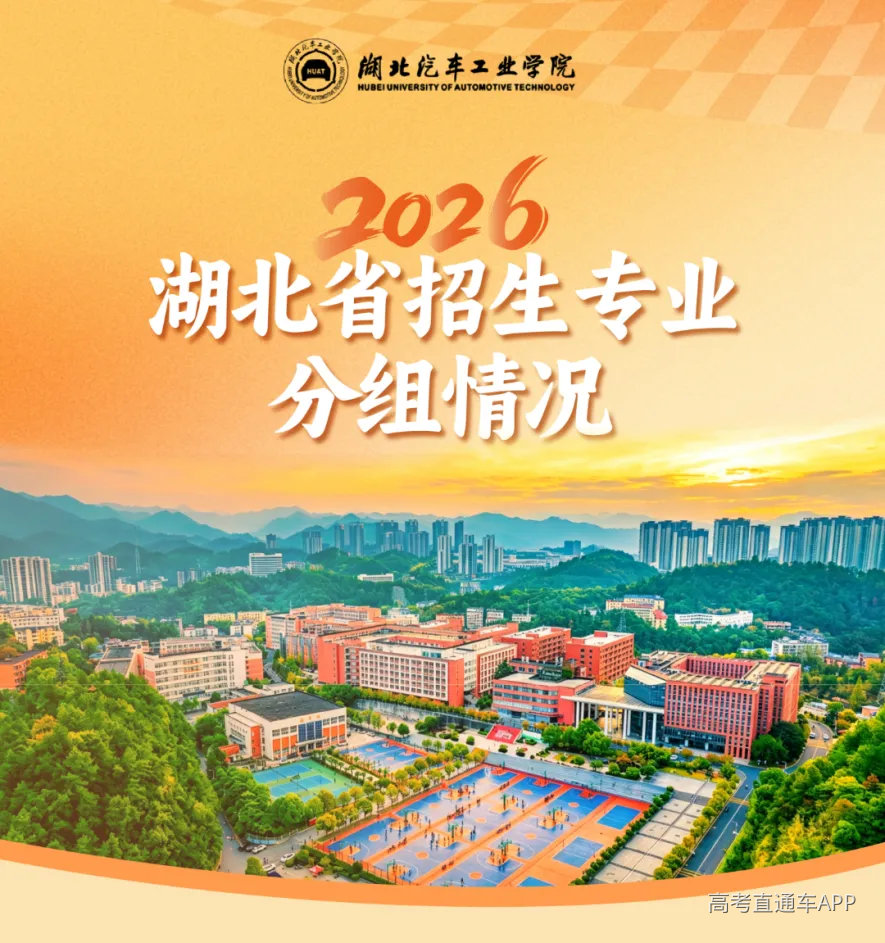 招生专业分组.png