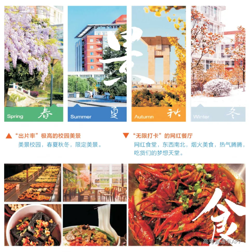 11 食堂及校园美景.png