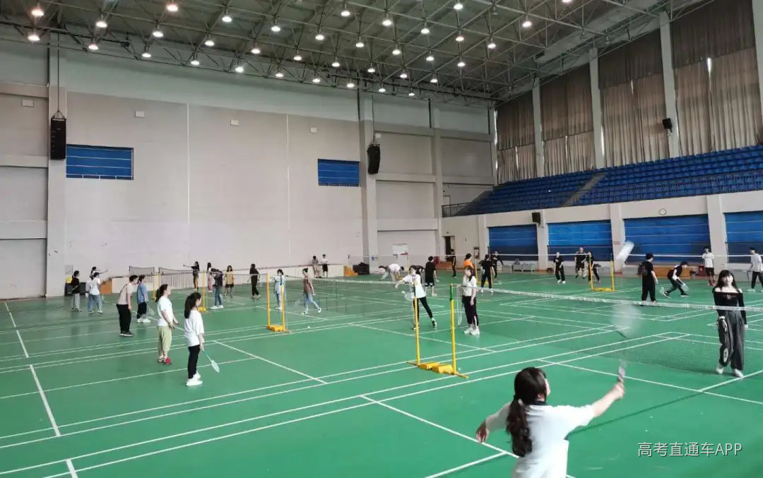 体育馆10.jpg