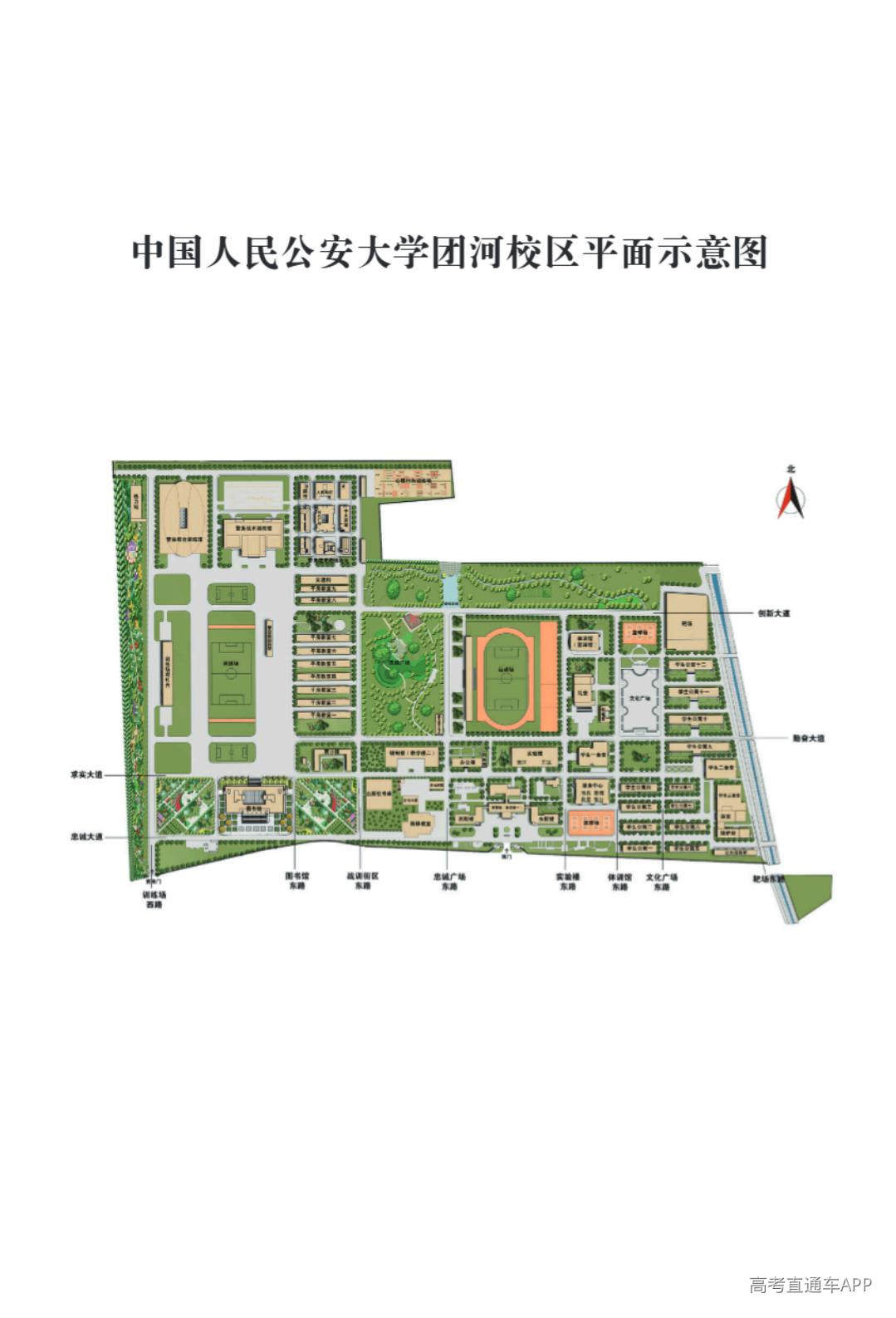 1783754198609120.jpg