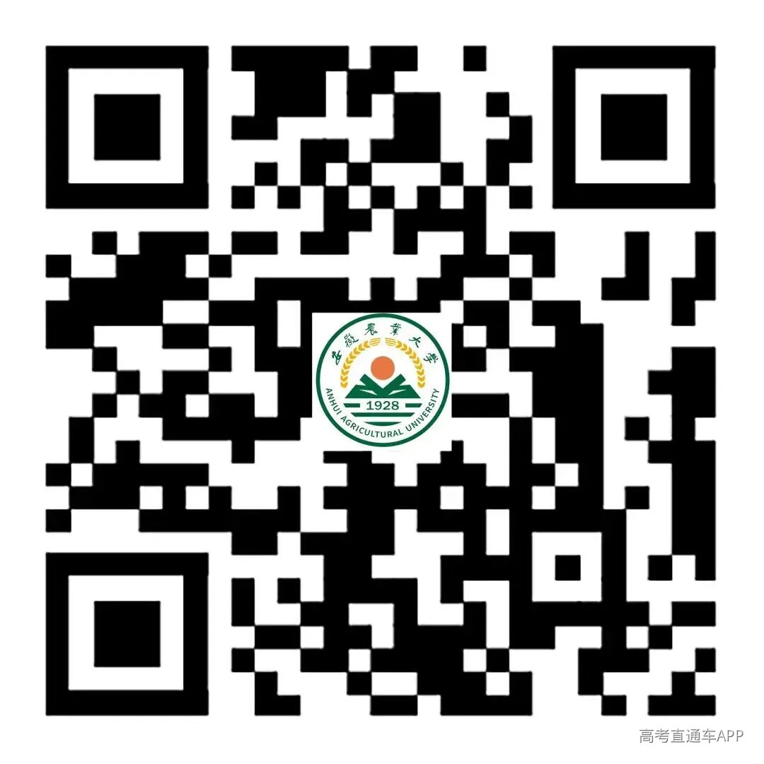 微信图片_2026-07-10_214933_513.jpg