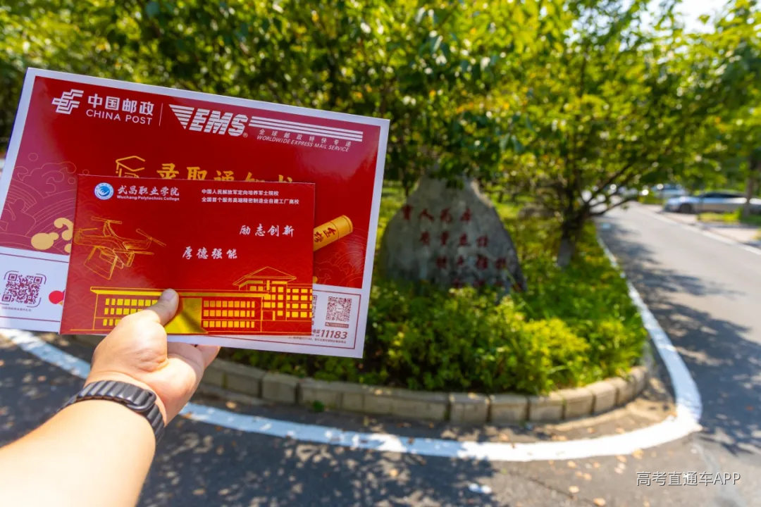 DH3A2985-已增强-降噪.jpg