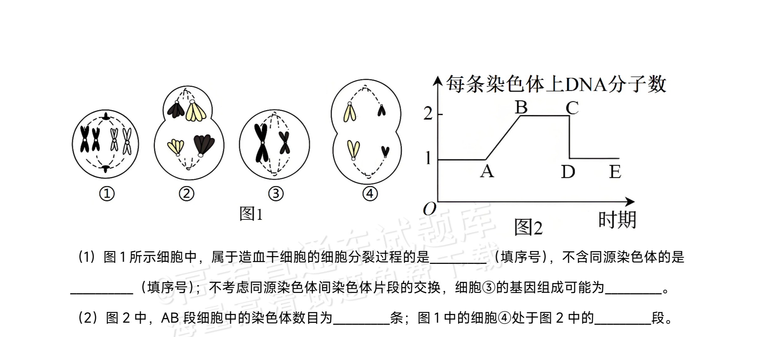gkztcimg.png