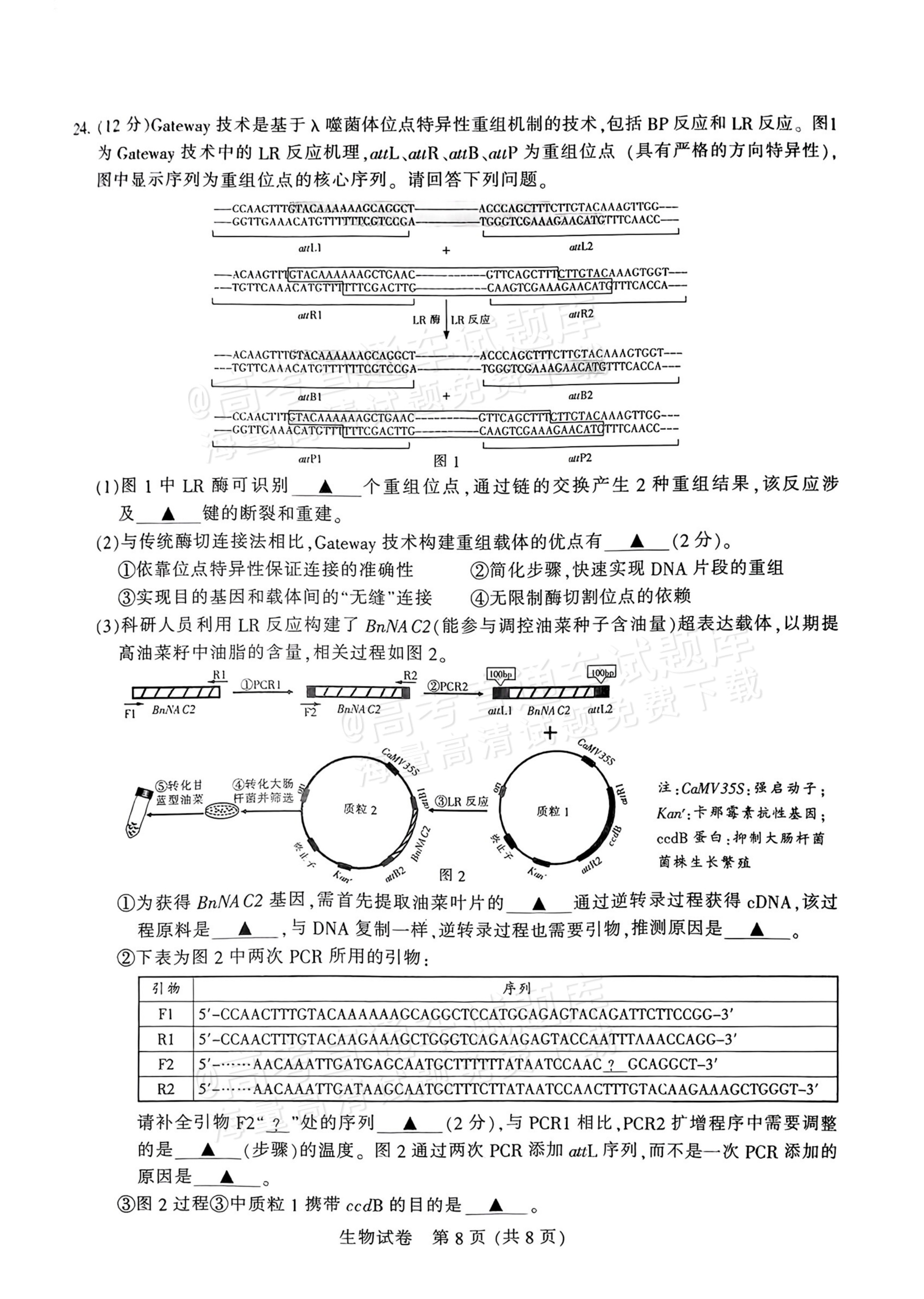 2026江苏苏北七市高三三模生物试题及参考答案 第8页