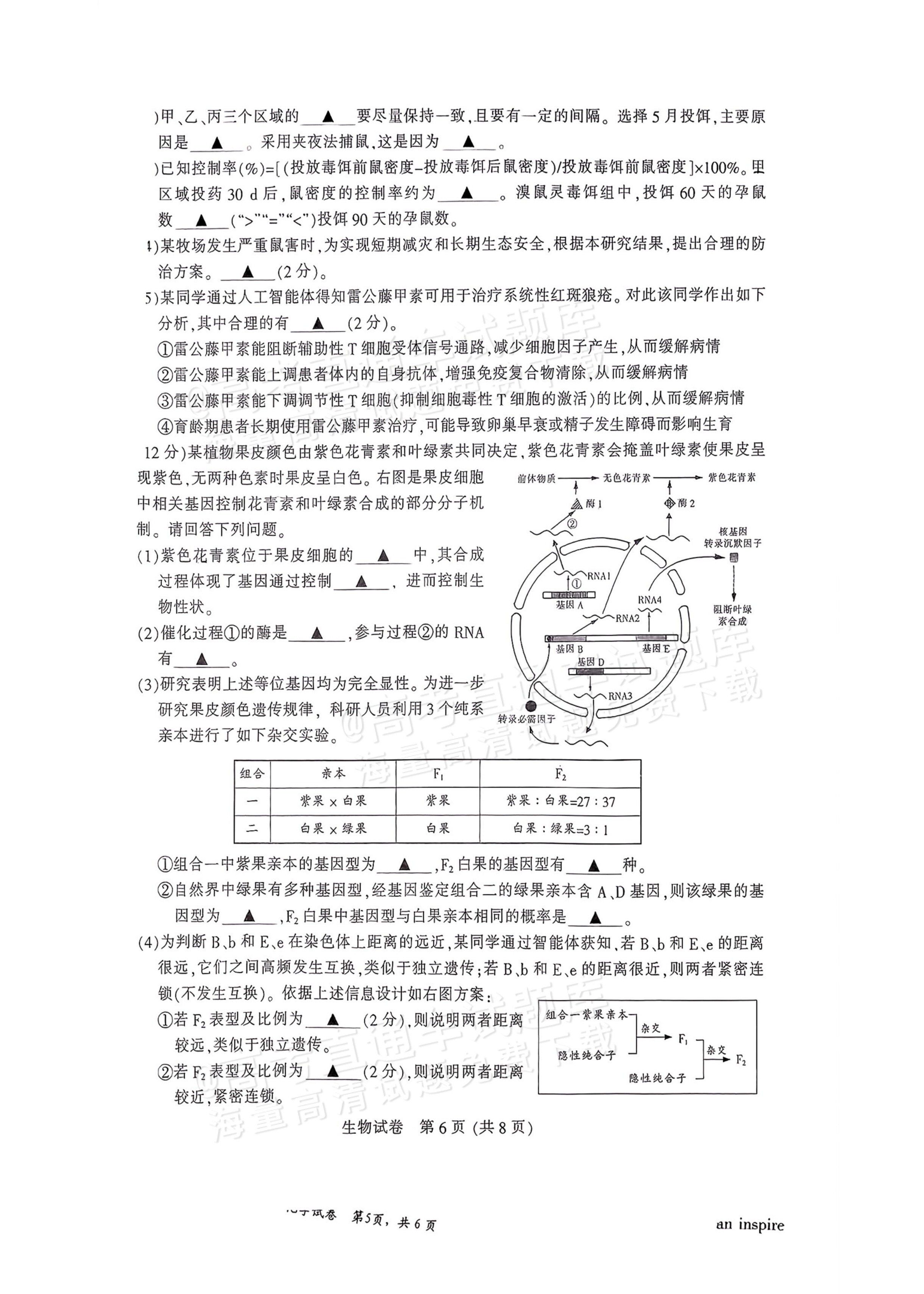 2026江苏苏北七市高三三模生物试题及参考答案 第6页