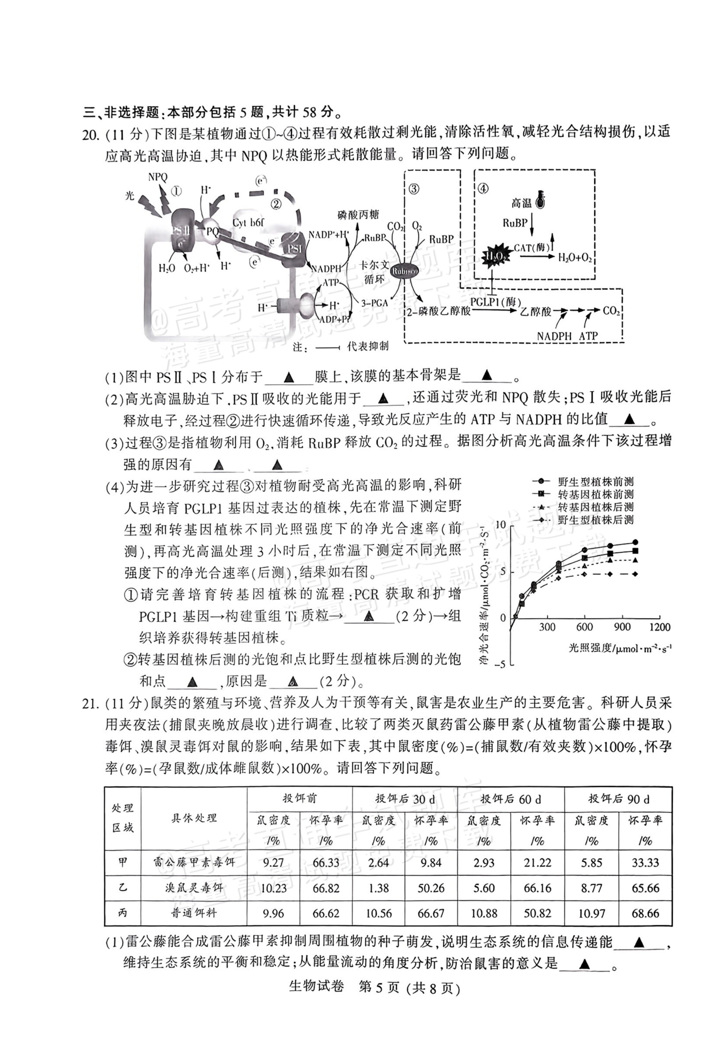 2026江苏苏北七市高三三模生物试题及参考答案 第5页