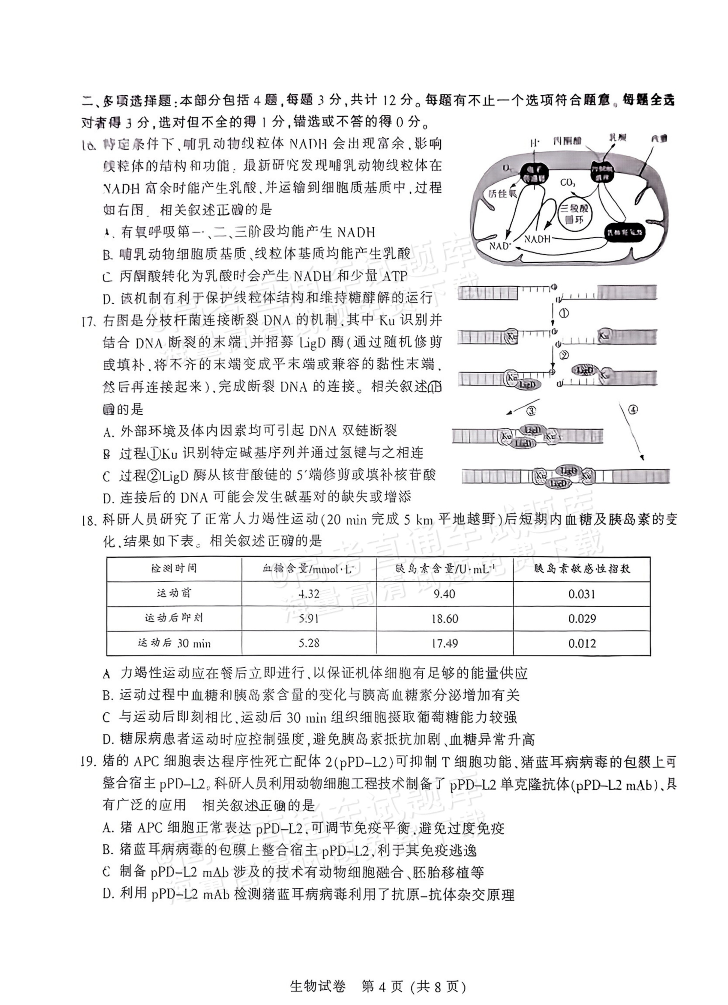 2026江苏苏北七市高三三模生物试题及参考答案 第4页