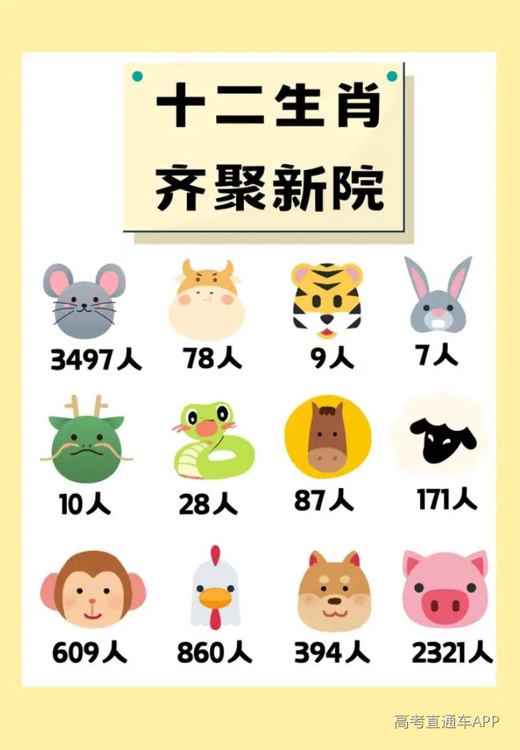 undefined 图片