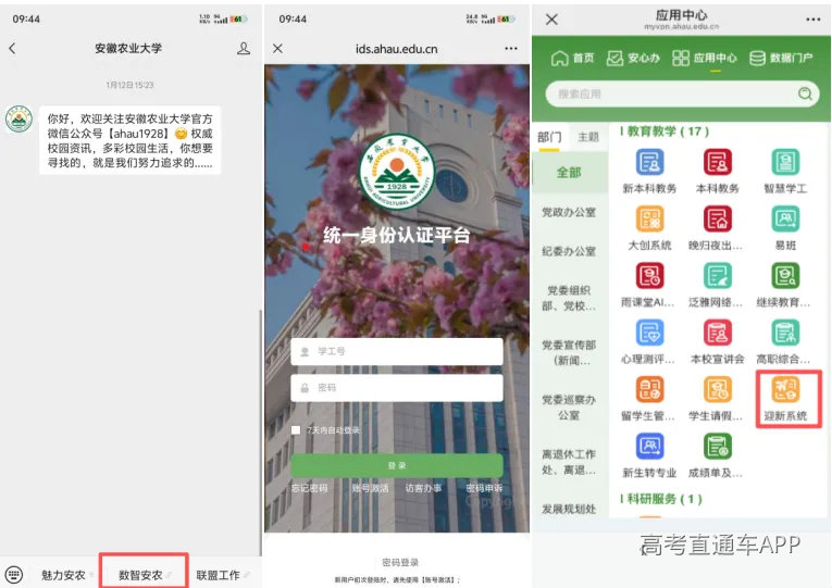 团片1.png