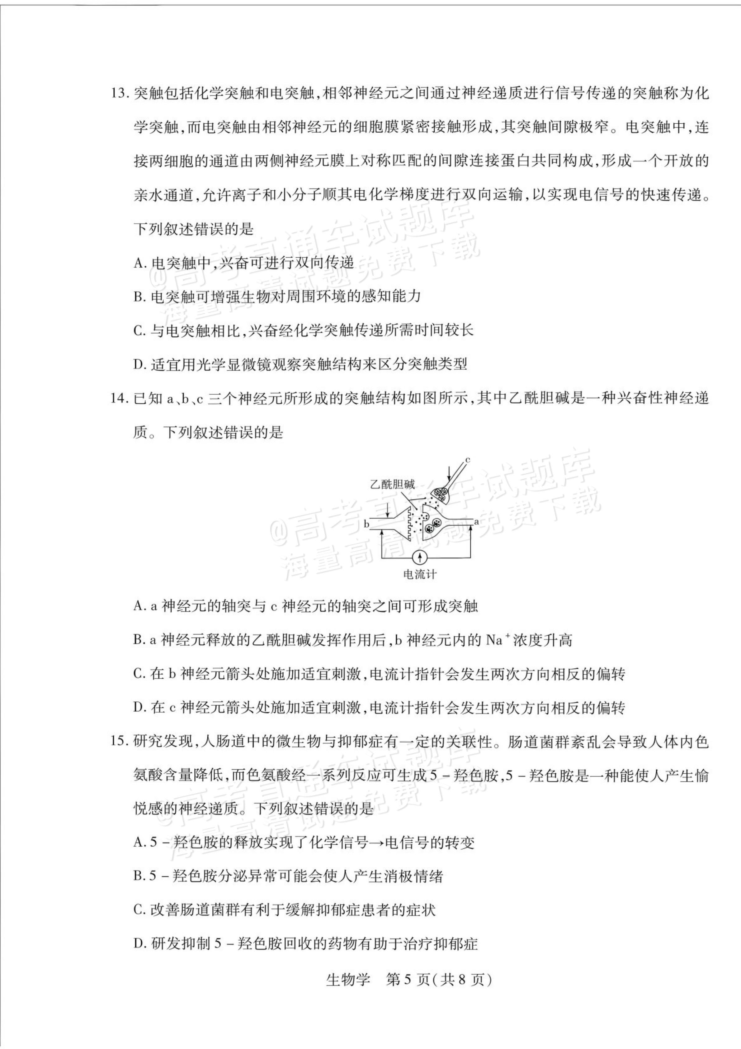 2027安徽省县中联盟高二10月联考生物试题及参考答案 第5页
