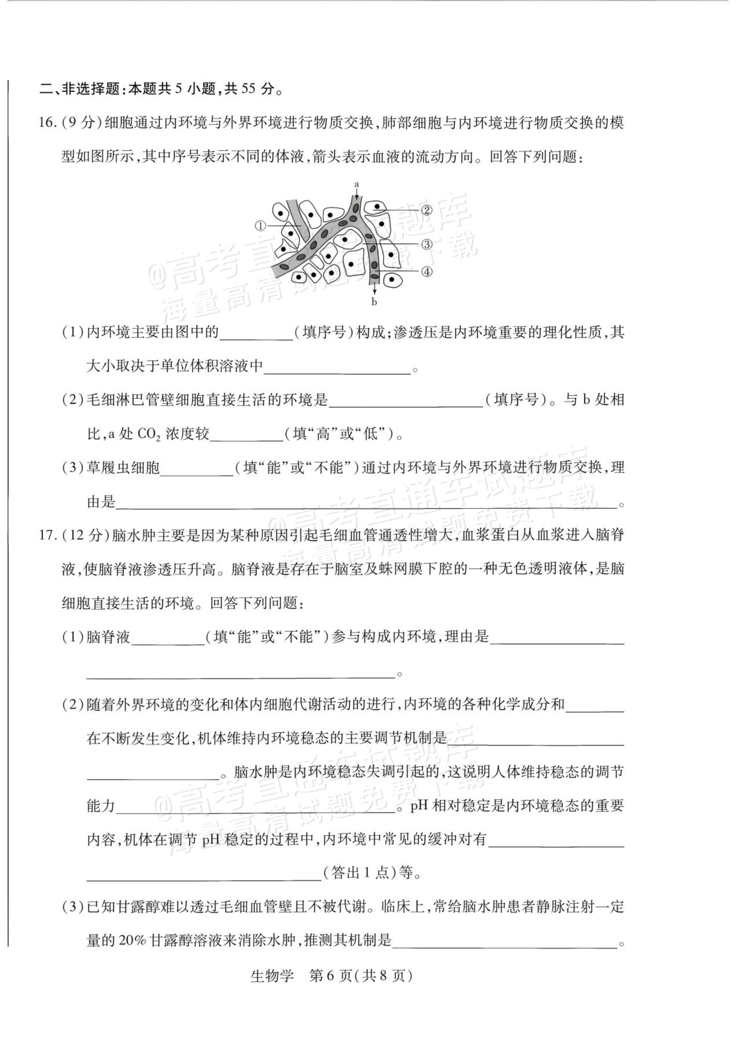2027安徽省县中联盟高二10月联考生物试题及参考答案 第6页