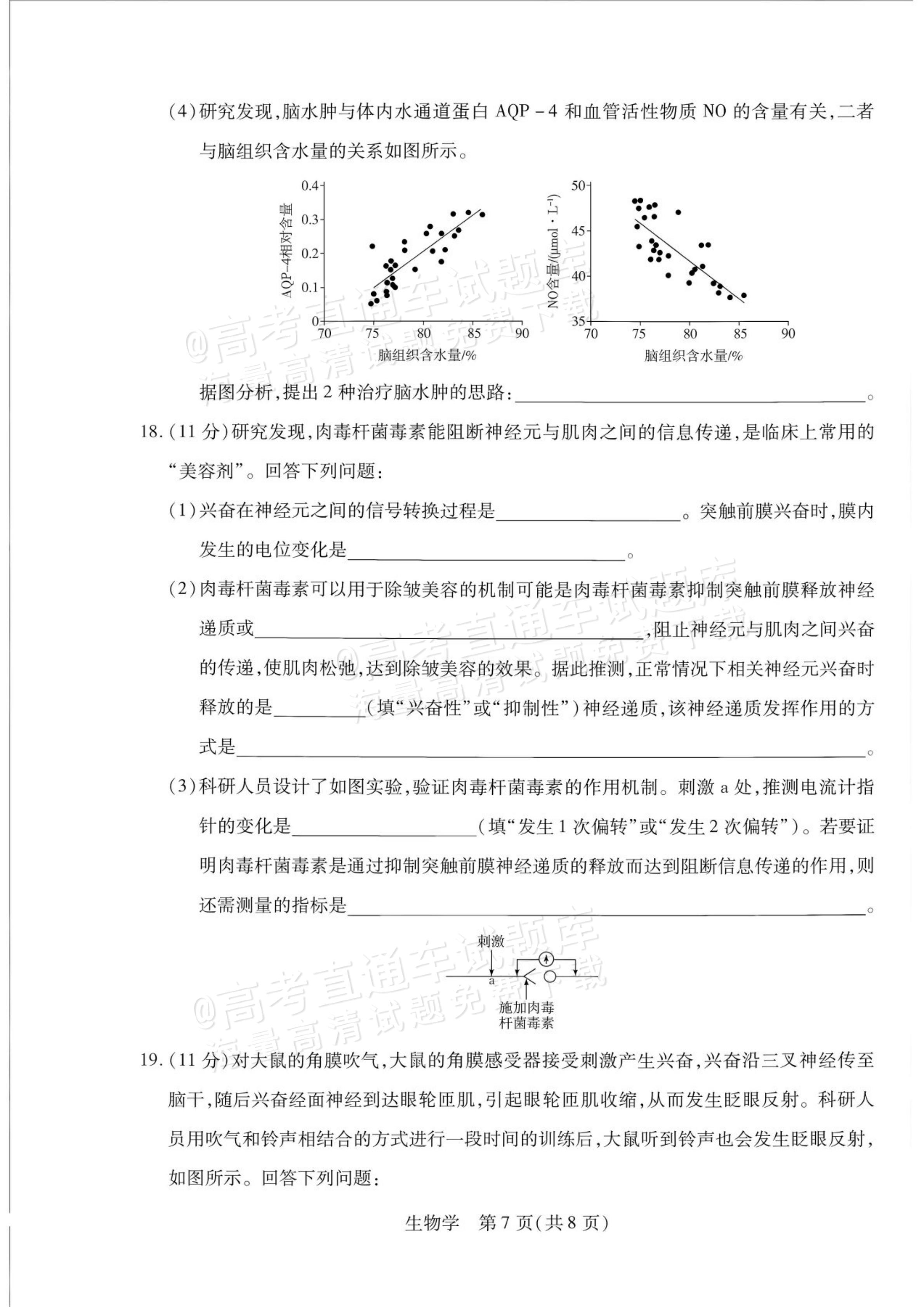 2027安徽省县中联盟高二10月联考生物试题及参考答案 第7页