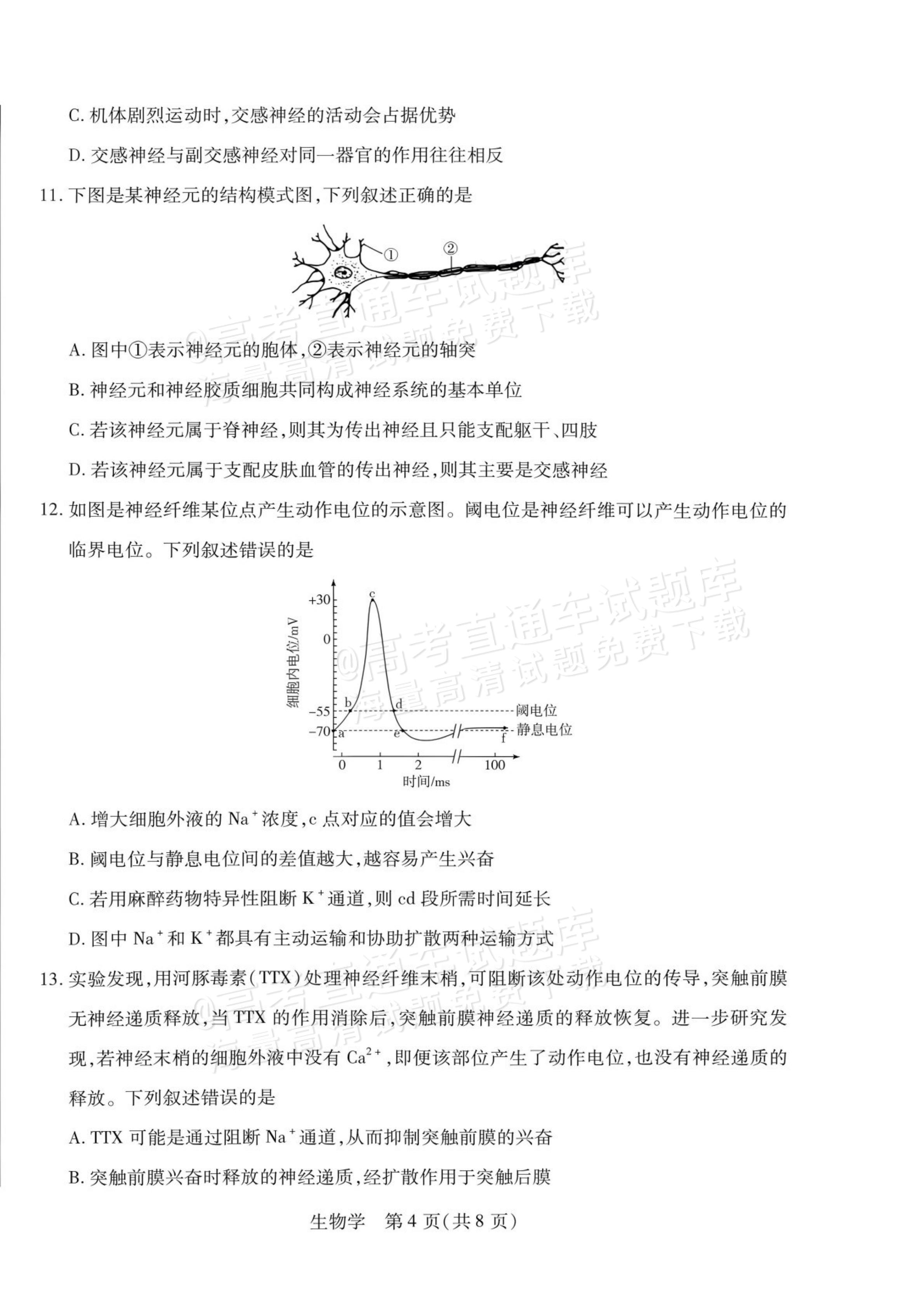 2027安徽省县中联盟高二10月联考生物试题及参考答案 第12页