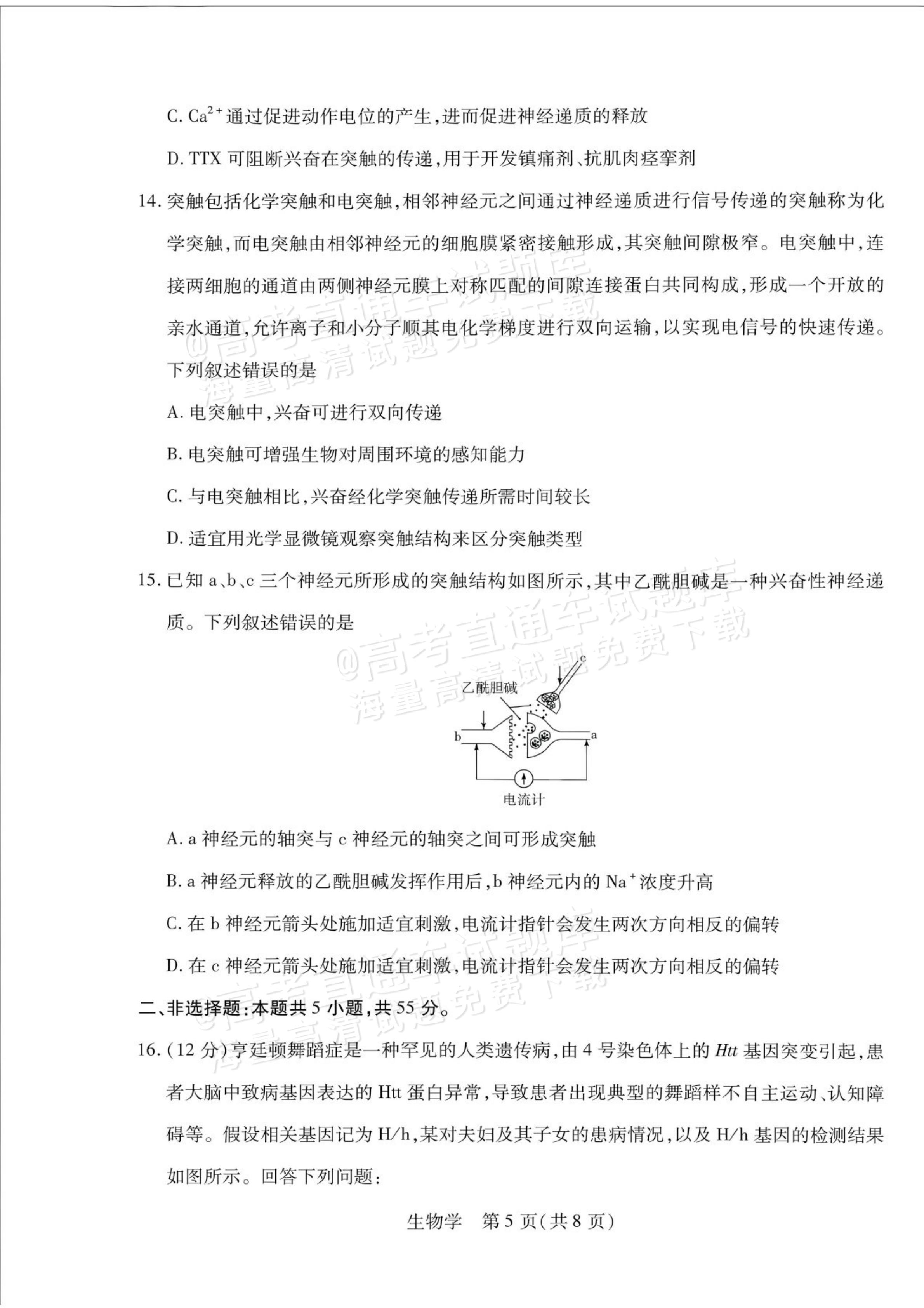 2027安徽省县中联盟高二10月联考生物试题及参考答案 第13页