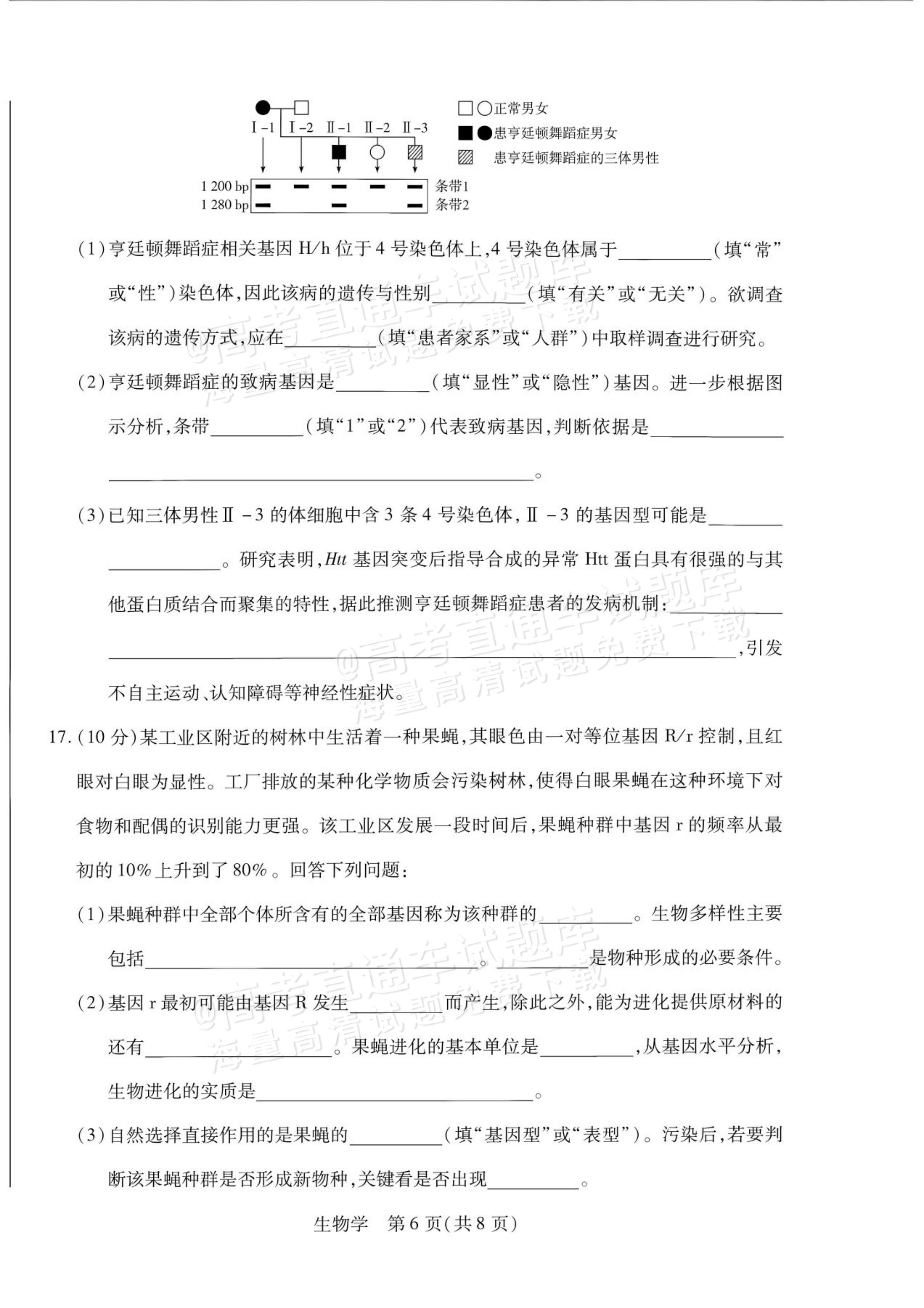 2027安徽省县中联盟高二10月联考生物试题及参考答案 第14页