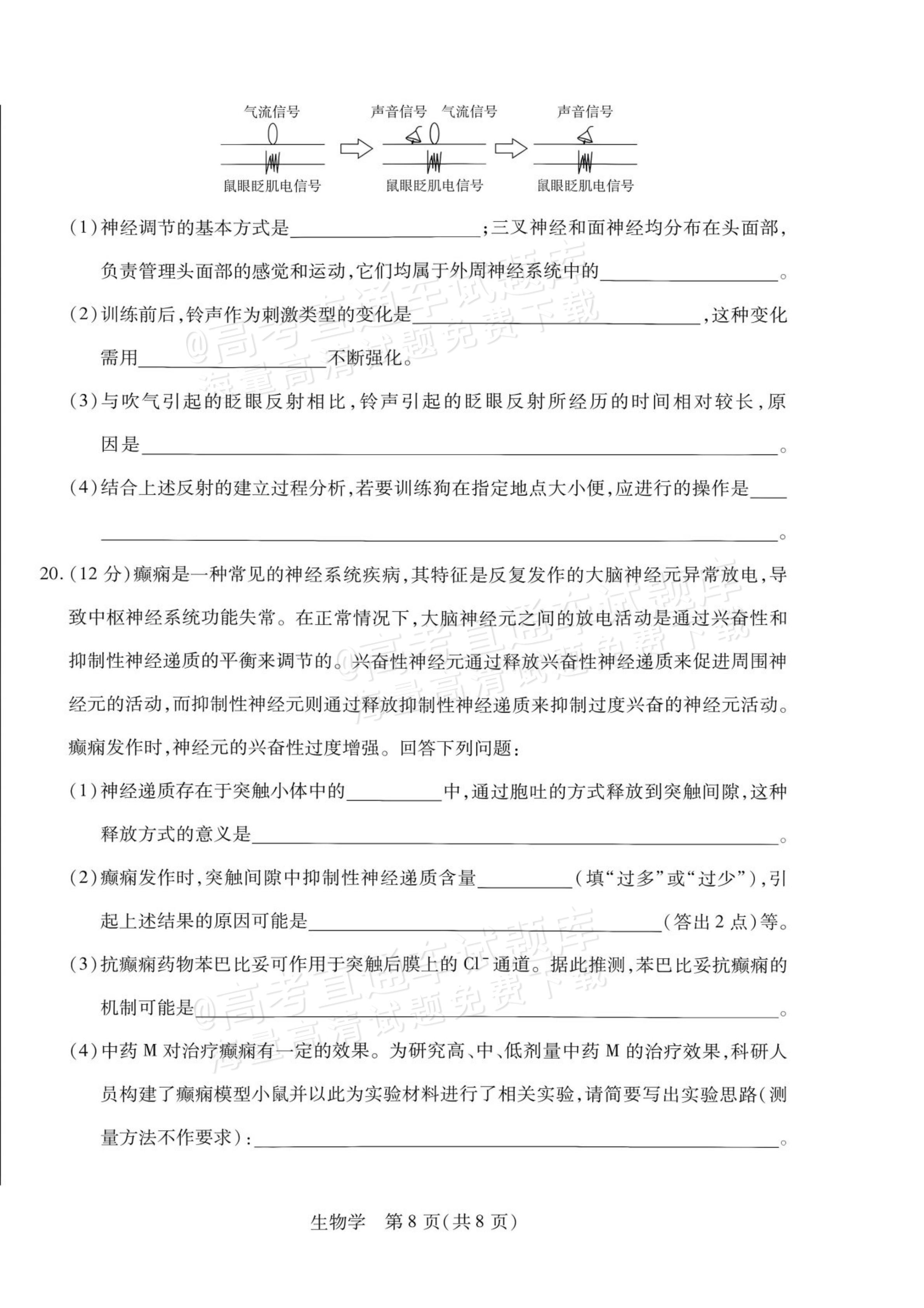 2027安徽省县中联盟高二10月联考生物试题及参考答案 第16页