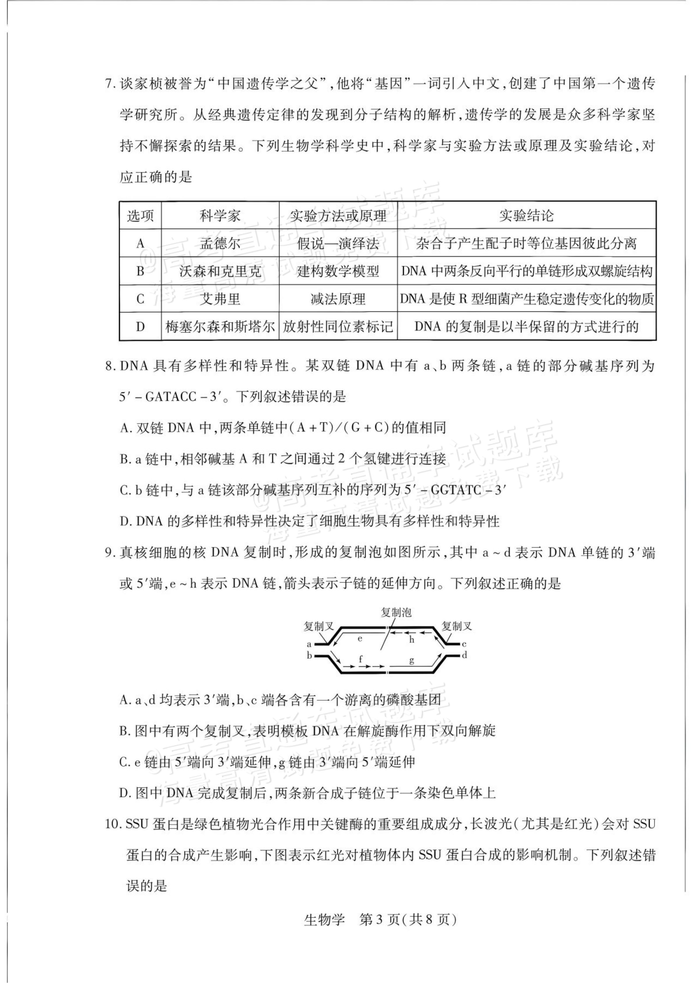 2027安徽省县中联盟高二10月联考生物试题及参考答案 答案 第3页