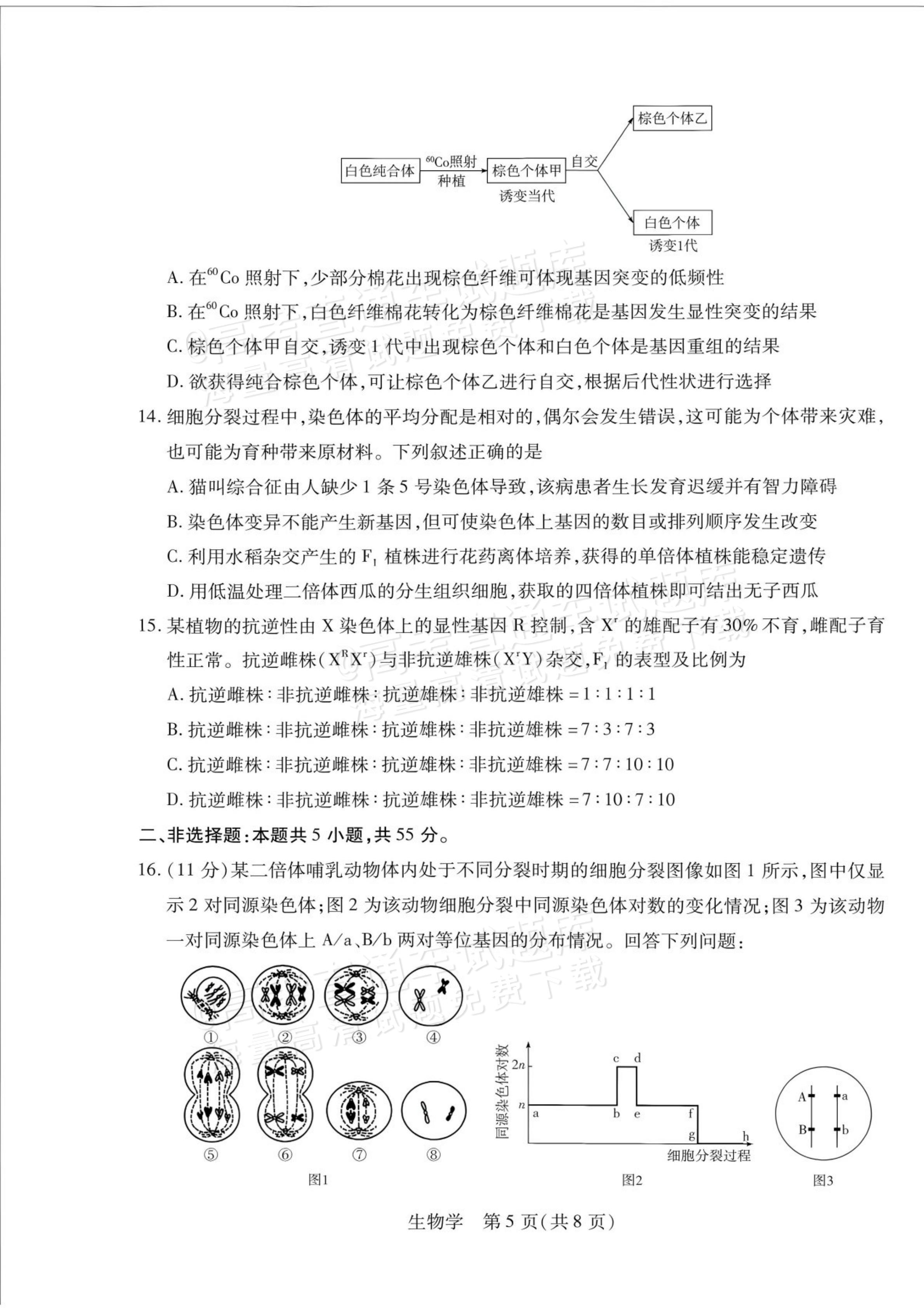 2027安徽省县中联盟高二10月联考生物试题及参考答案 答案 第5页