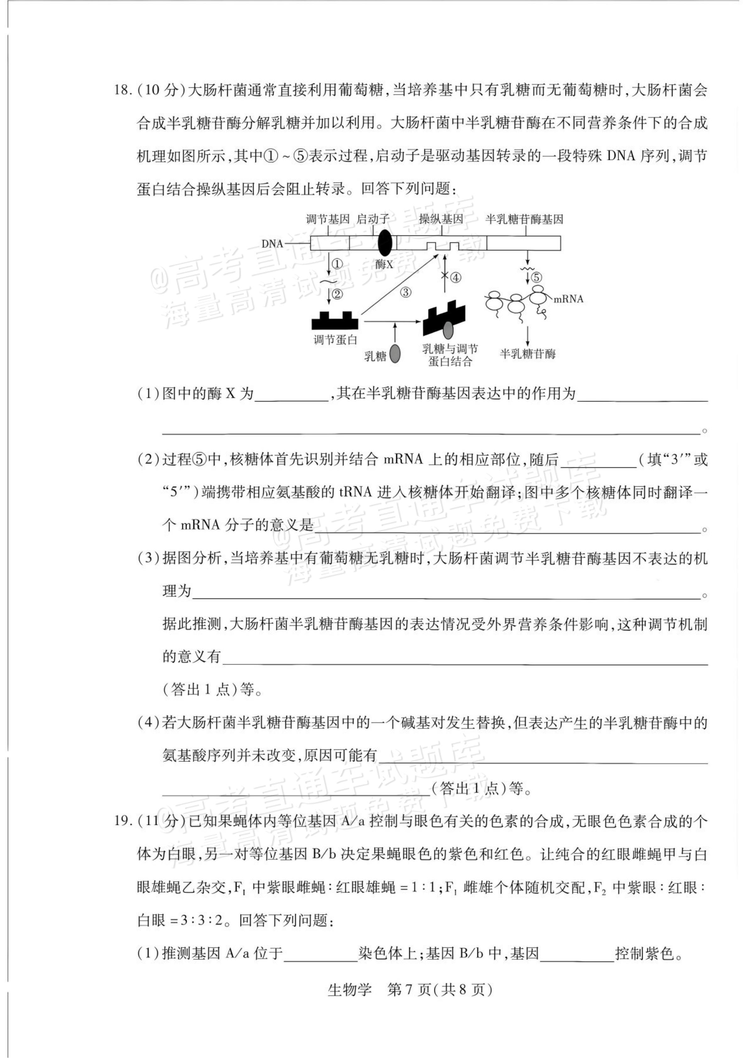 2027安徽省县中联盟高二10月联考生物试题及参考答案 答案 第7页