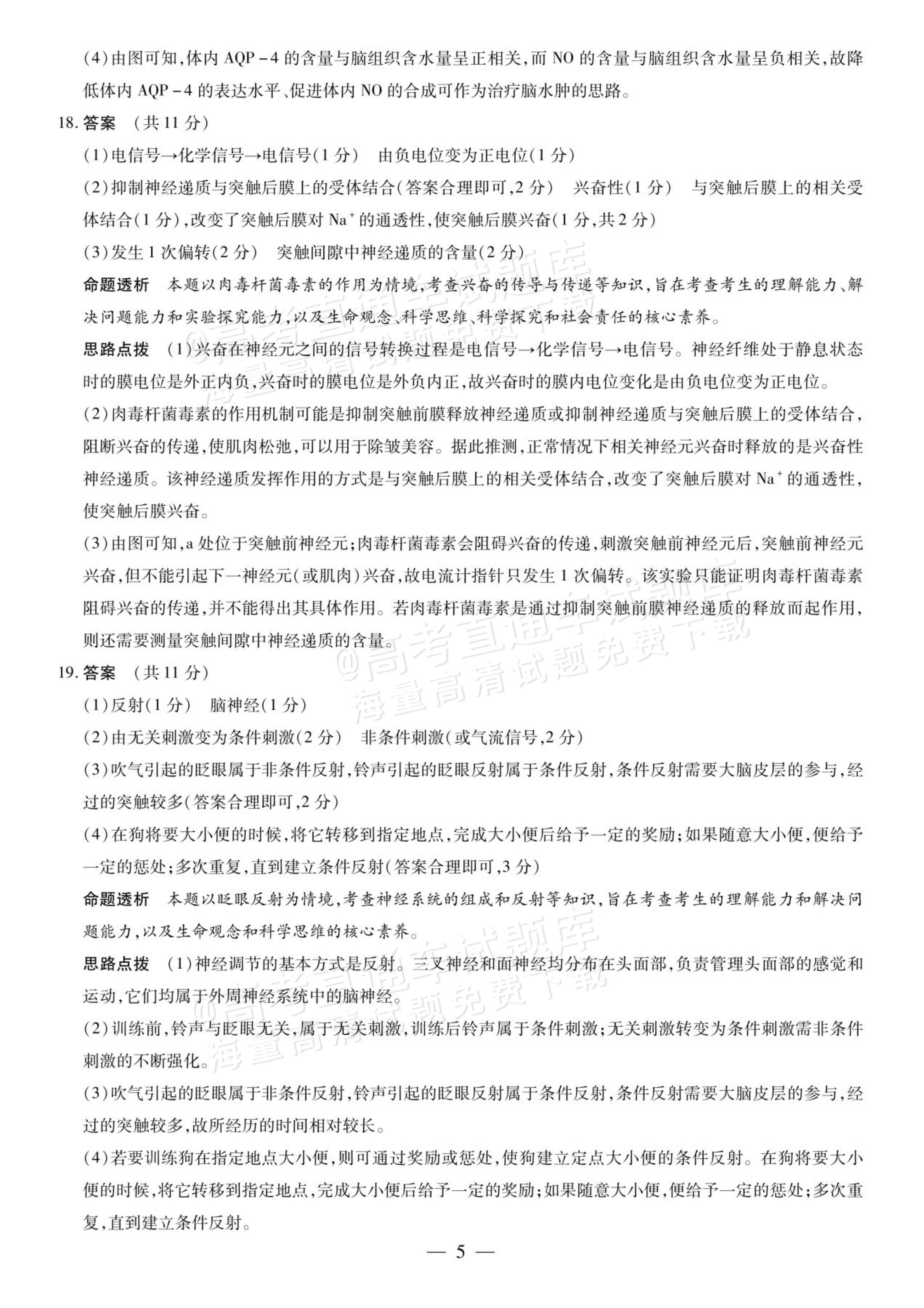 2027安徽省县中联盟高二10月联考生物试题及参考答案 答案 第13页