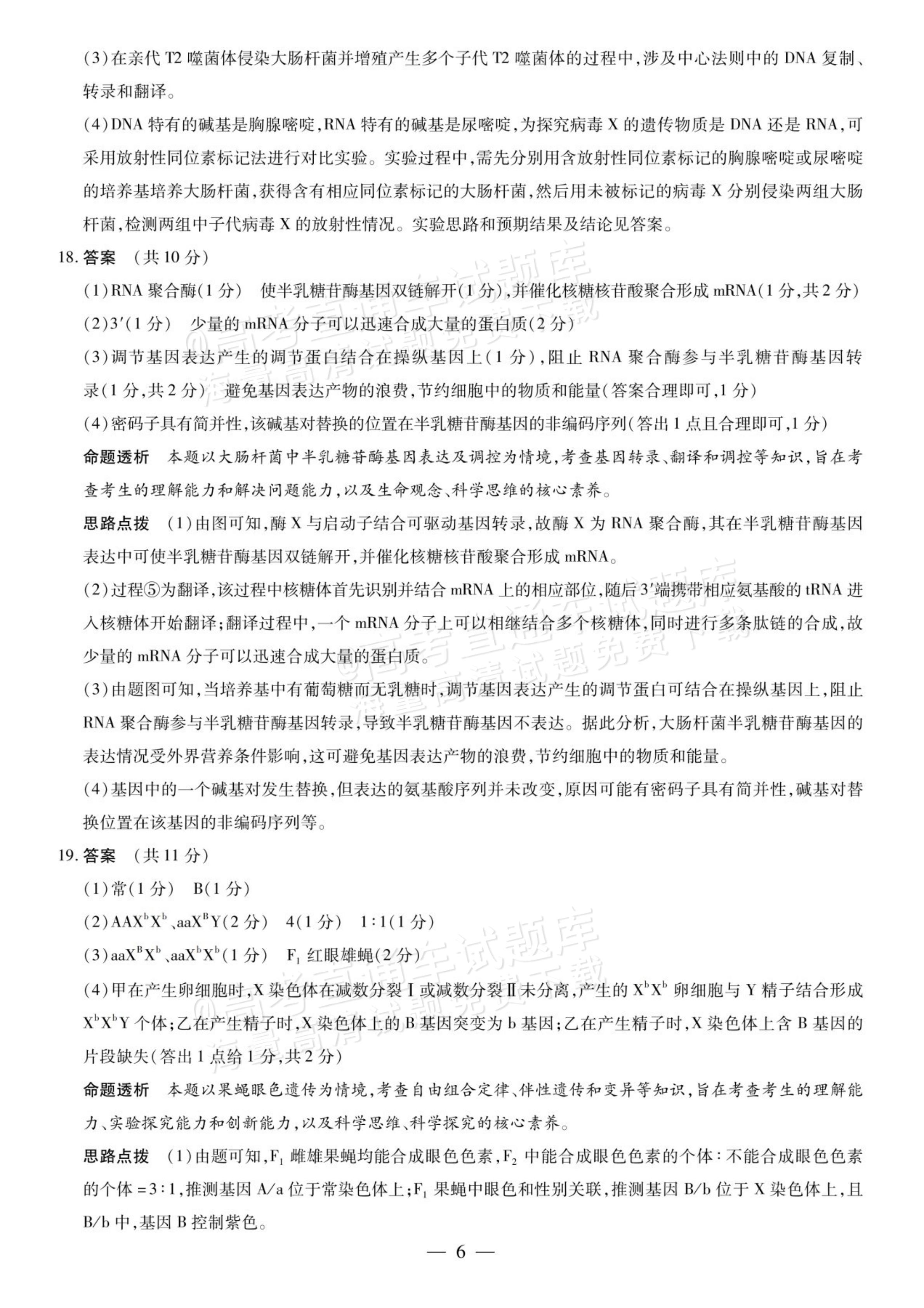 2027安徽省县中联盟高二10月联考生物试题及参考答案 答案 第26页