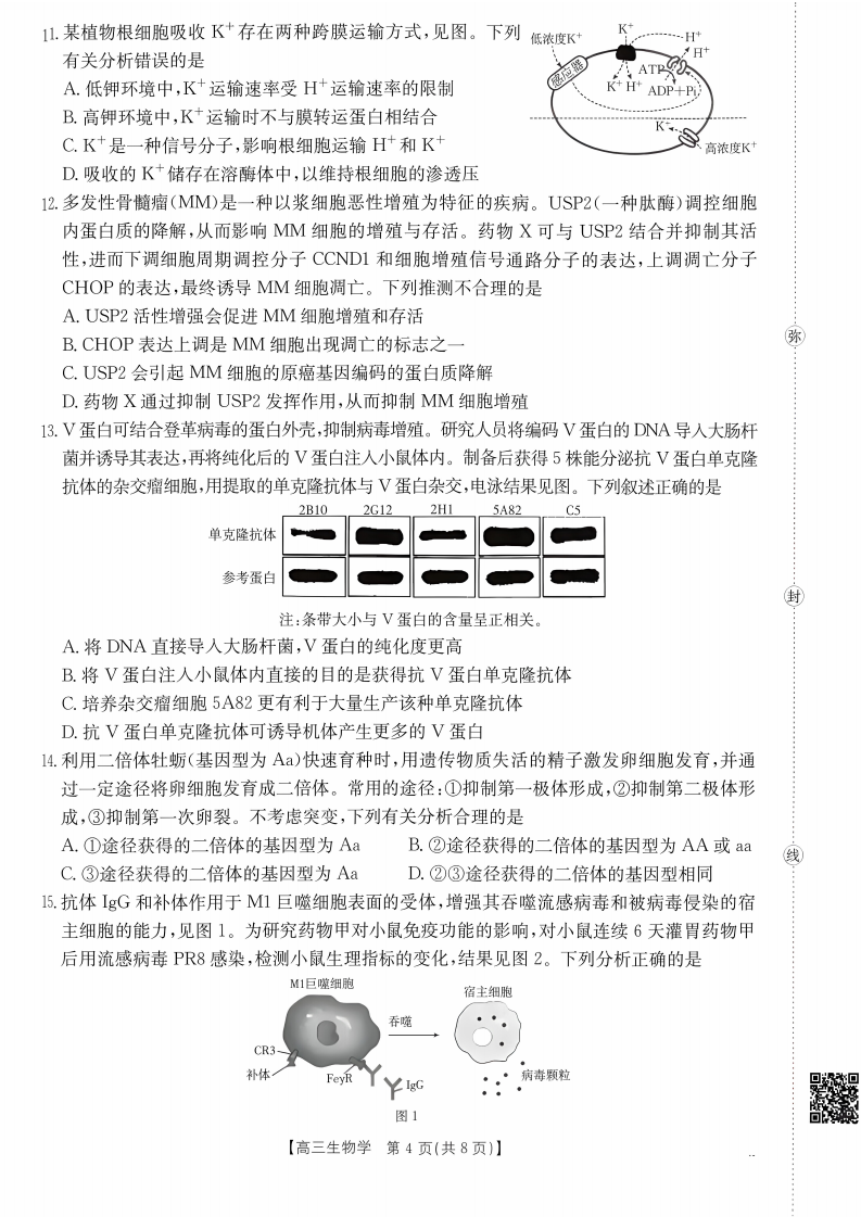 2027广东高三10月大联考（27-08-43C）生物试题及参考答案 第4页