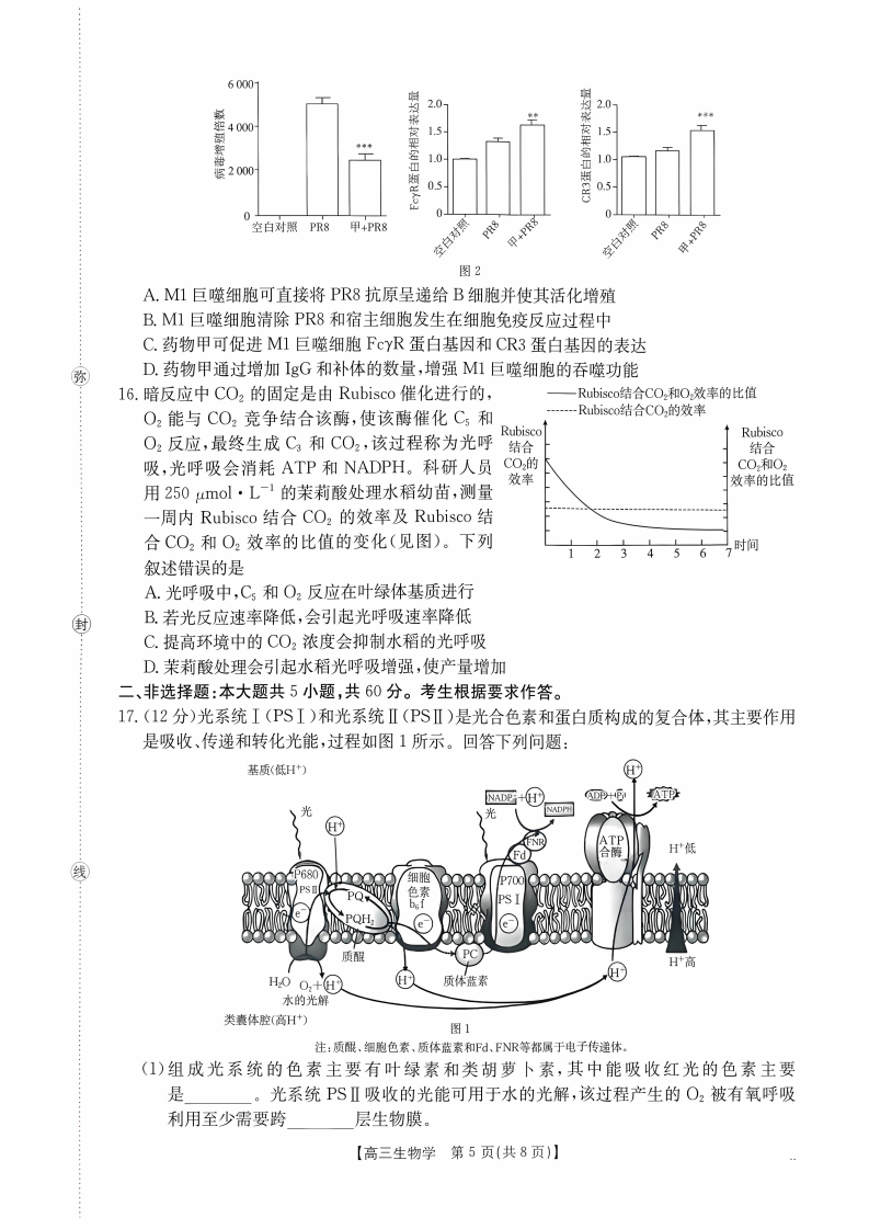 2027广东高三10月大联考（27-08-43C）生物试题及参考答案 第5页