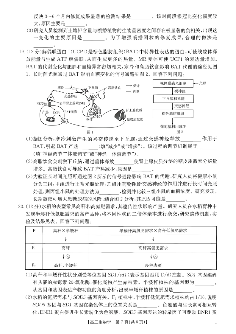 2027广东高三10月大联考（27-08-43C）生物试题及参考答案 第7页