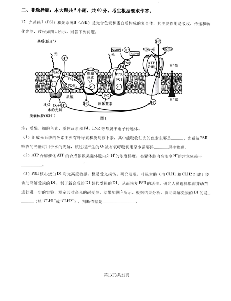 2027广东高三10月大联考（27-08-43C）生物试题及参考答案 答案 第13页