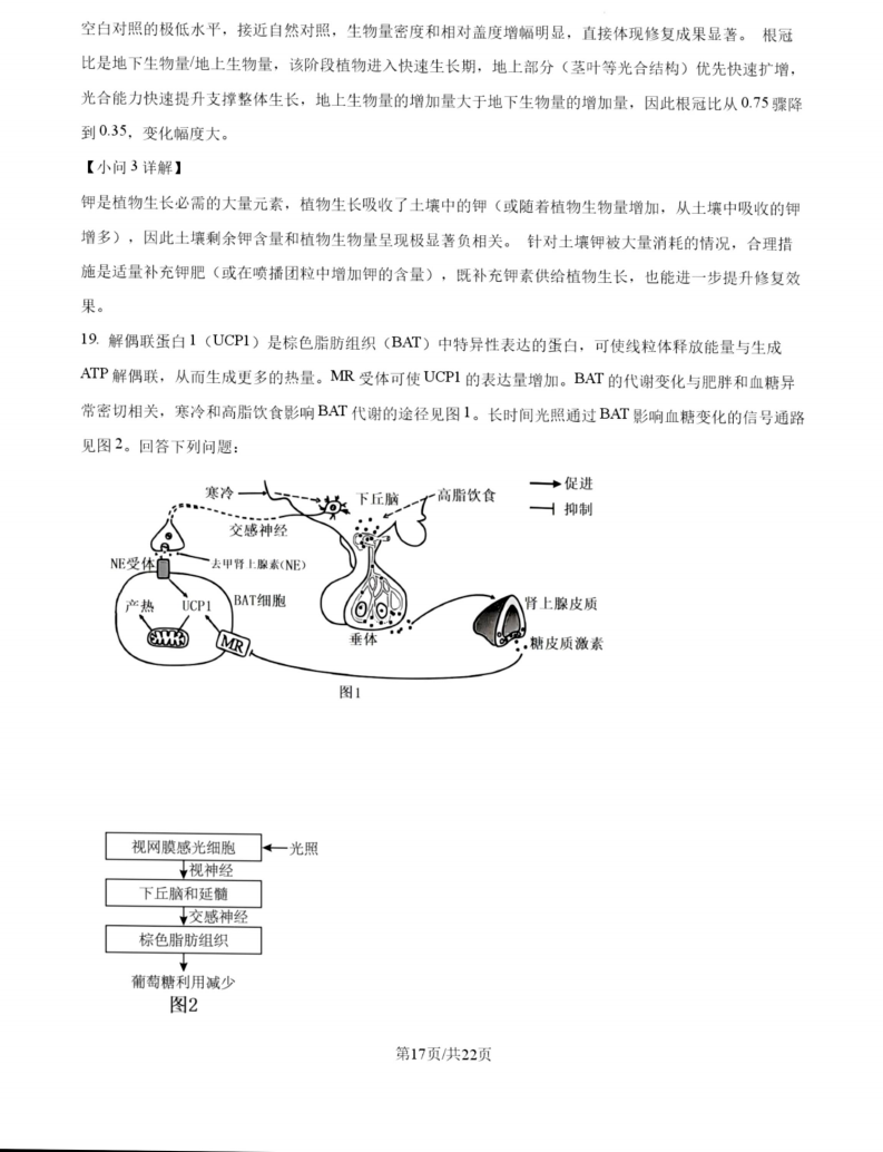 2027广东高三10月大联考（27-08-43C）生物试题及参考答案 答案 第17页