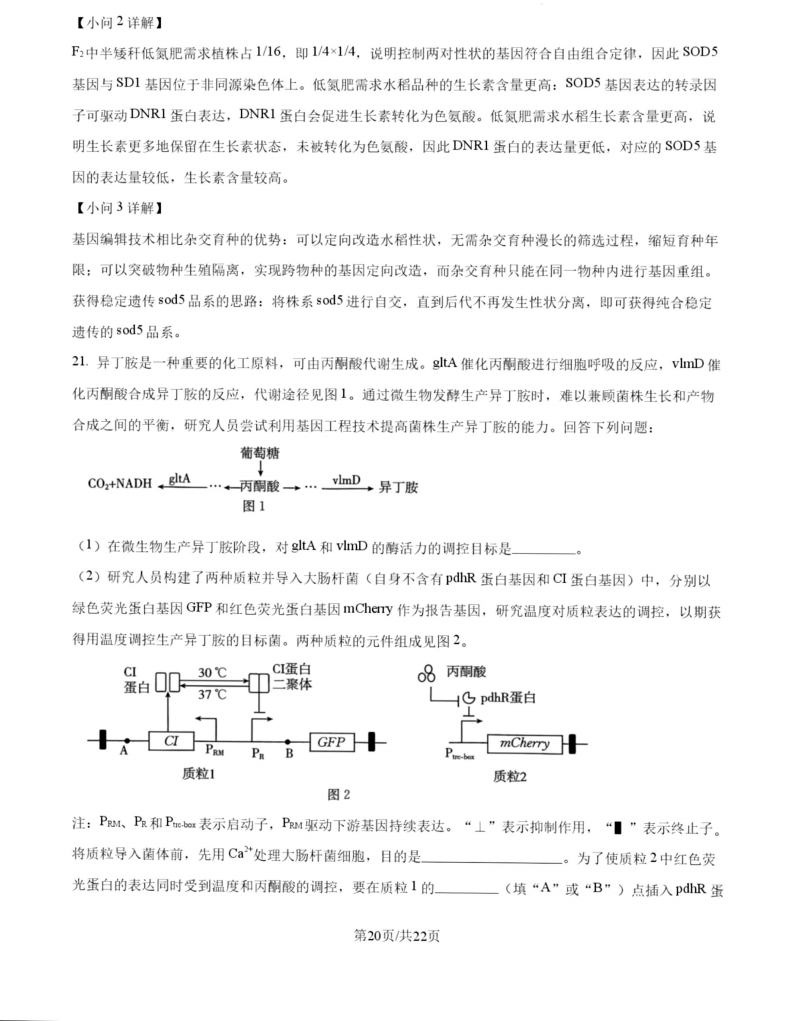 2027广东高三10月大联考（27-08-43C）生物试题及参考答案 答案 第20页