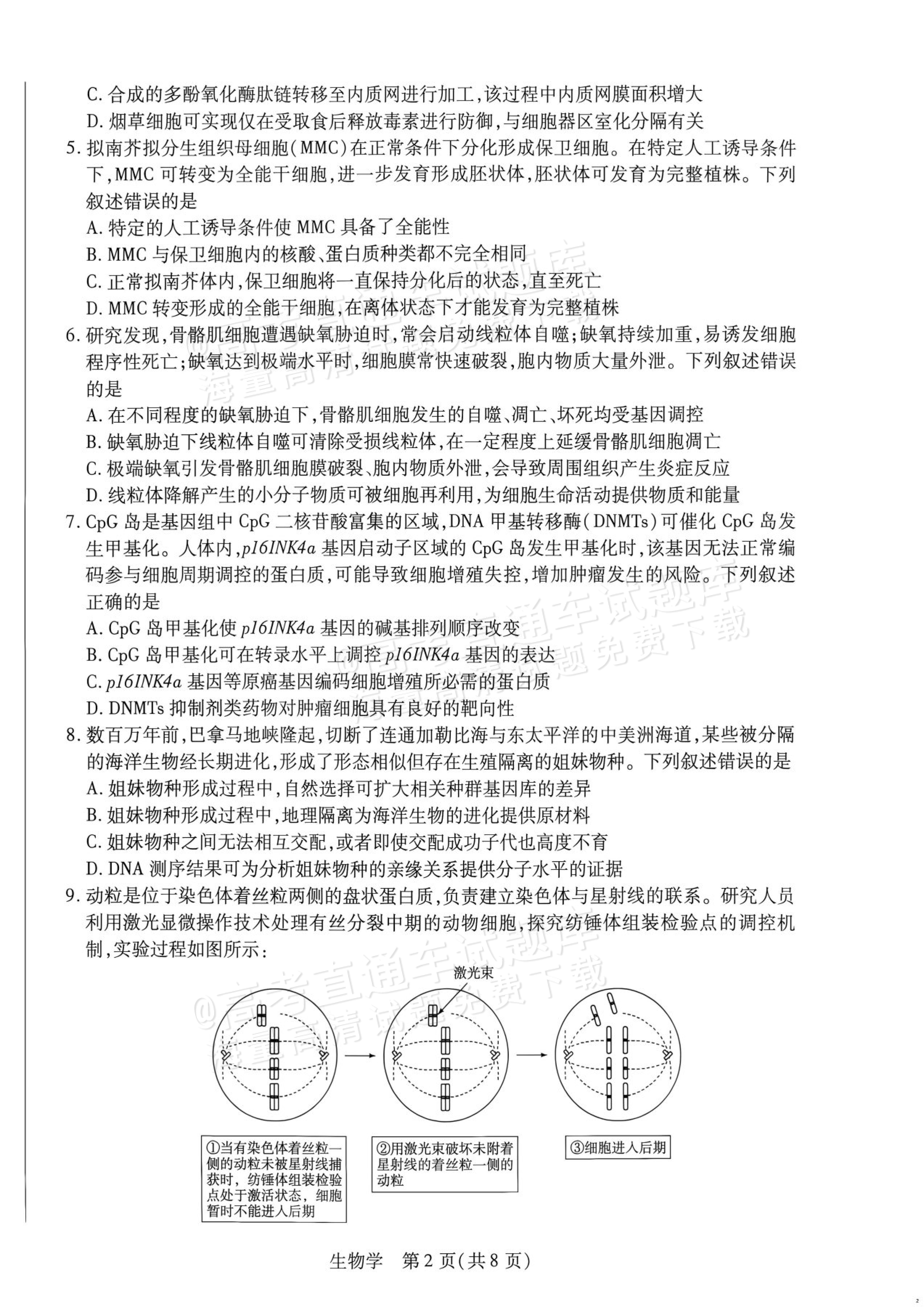 2027湖南湘一名校联盟高三10月联考生物试题及参考答案 第2页