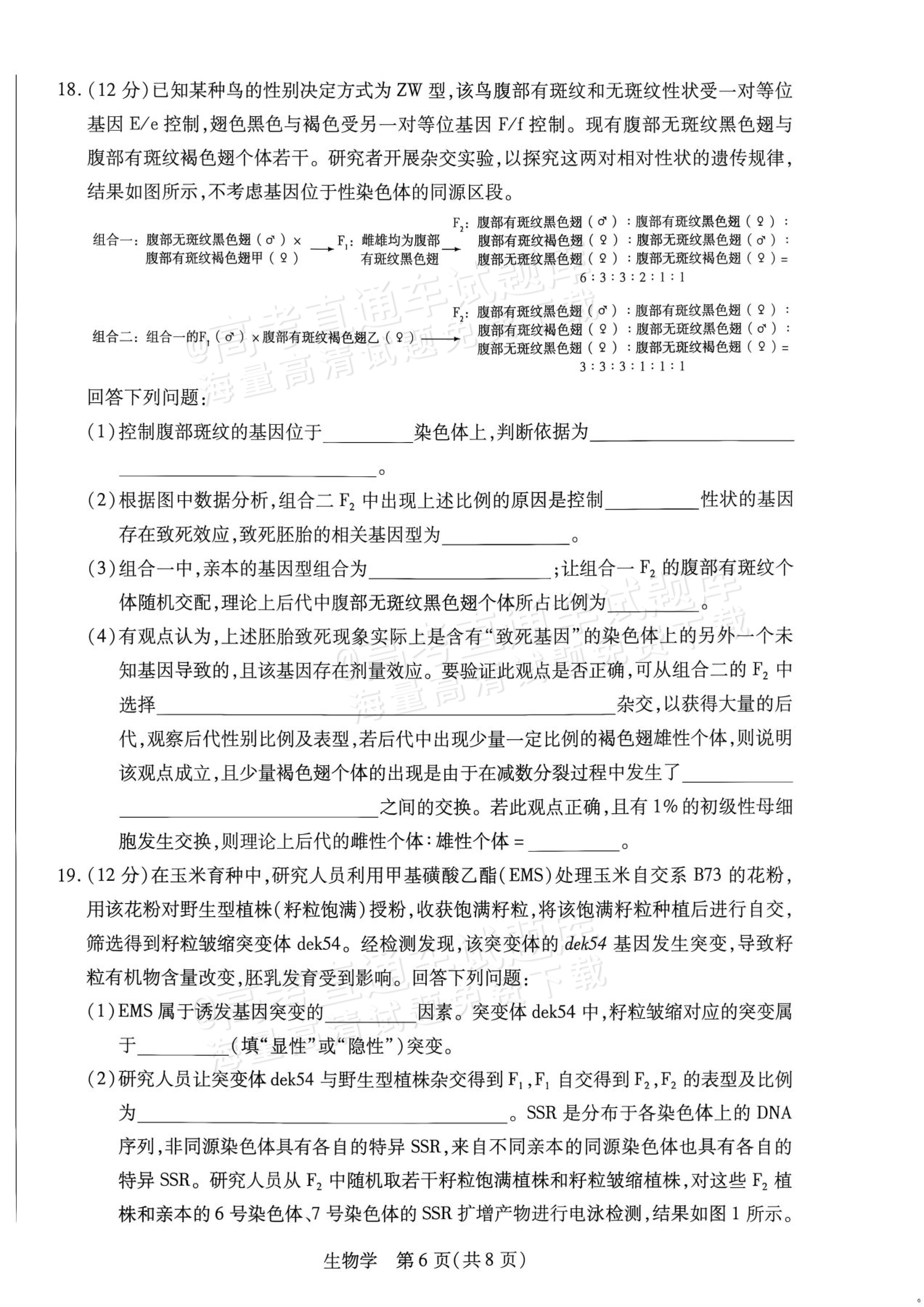 2027湖南湘一名校联盟高三10月联考生物试题及参考答案 第6页