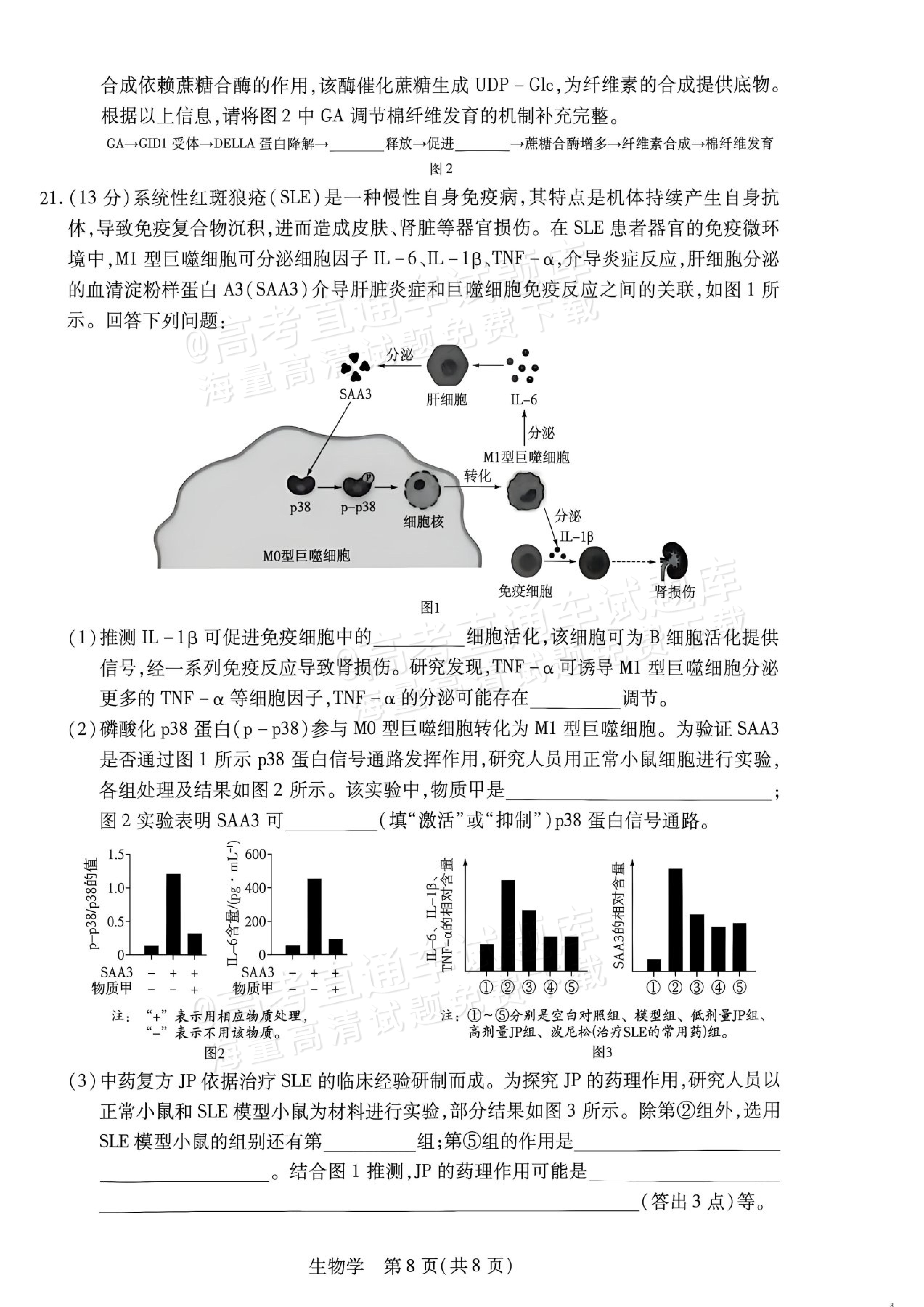 2027湖南湘一名校联盟高三10月联考生物试题及参考答案 第8页