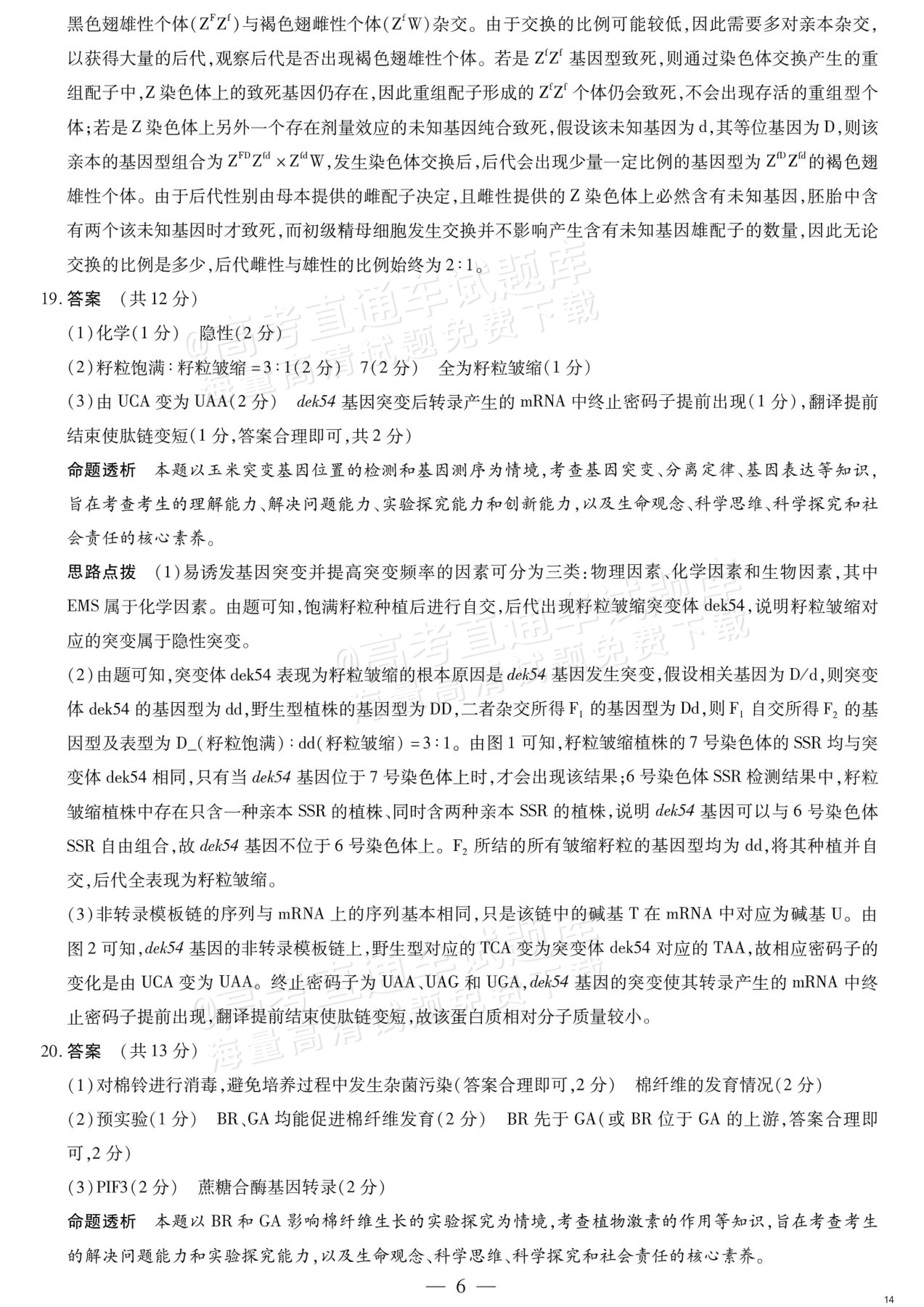 2027湖南湘一名校联盟高三10月联考生物试题及参考答案 答案 第6页