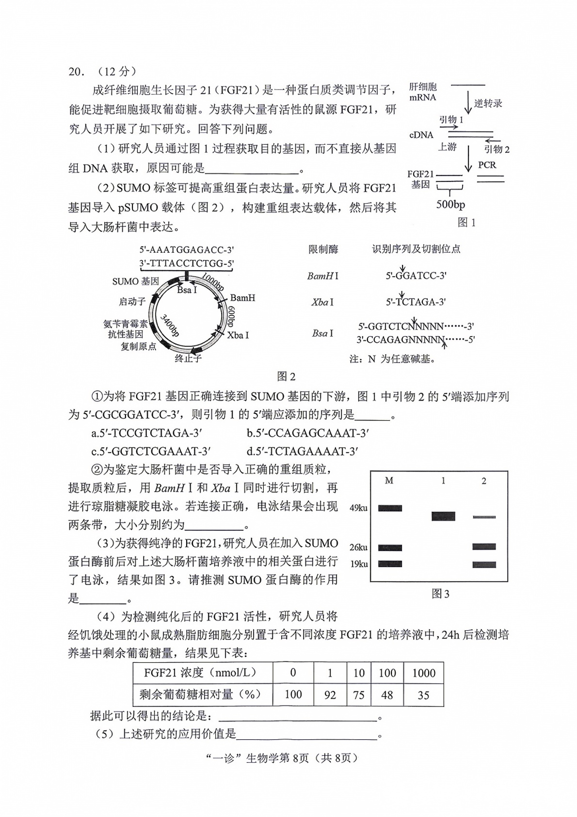 2027南充一诊生物试题及参考答案 第8页