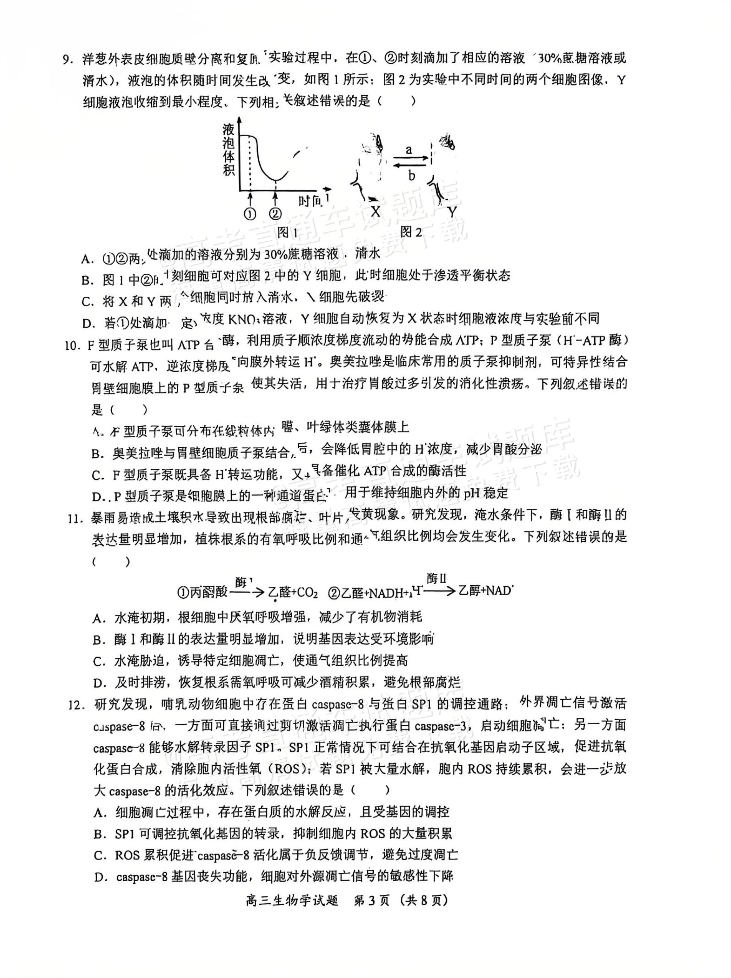 413ad9a0d10e4c5e004fb6a2fe704b3d.jpg