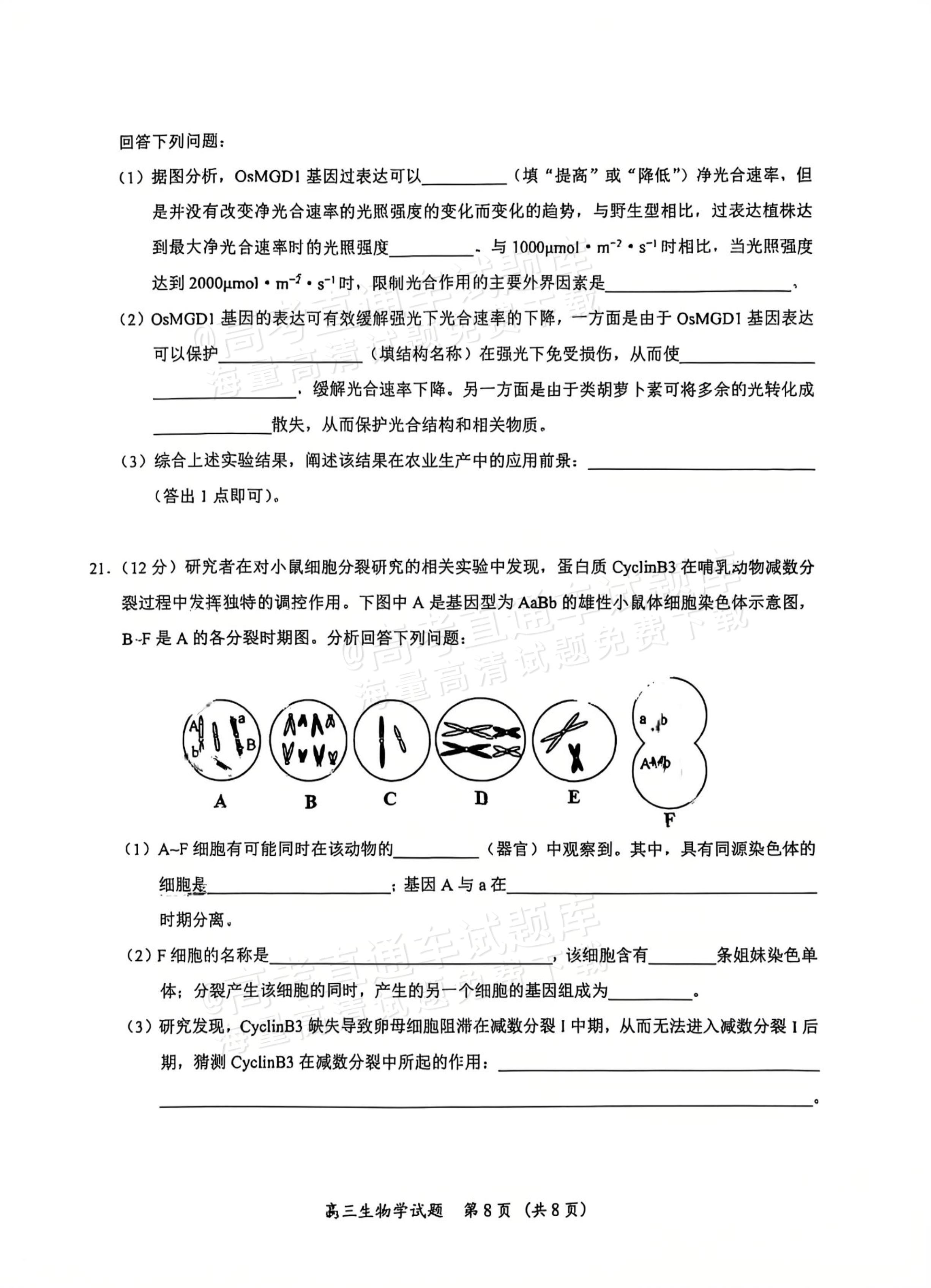 2e70dba76f9bb5f2387d944fe23c49ca.jpg
